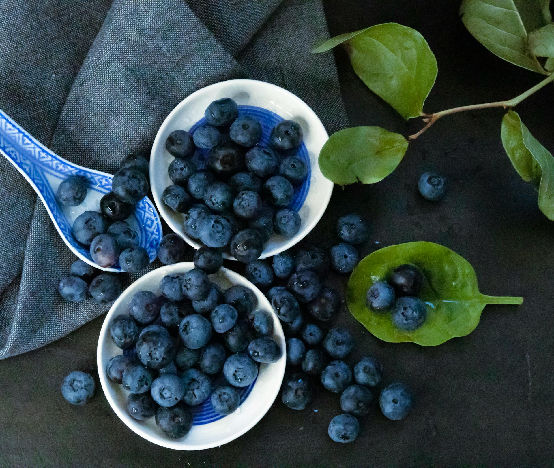 How Long Do Huckleberries Last In The Fridge? | Fridge.com