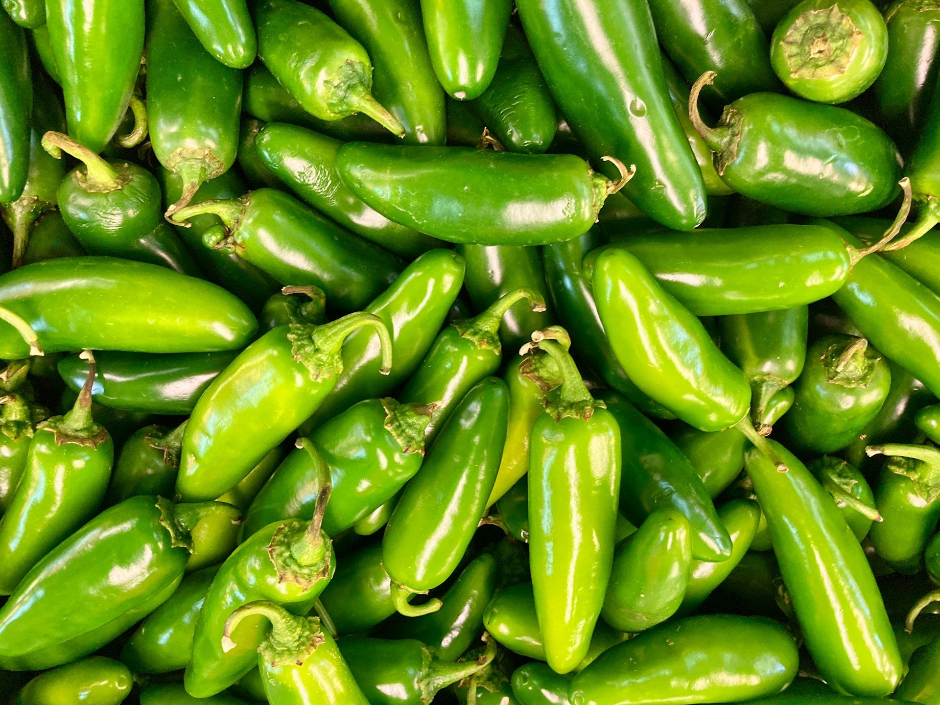 How Long Do Jalapeños Last In The Fridge? | Fridge.com