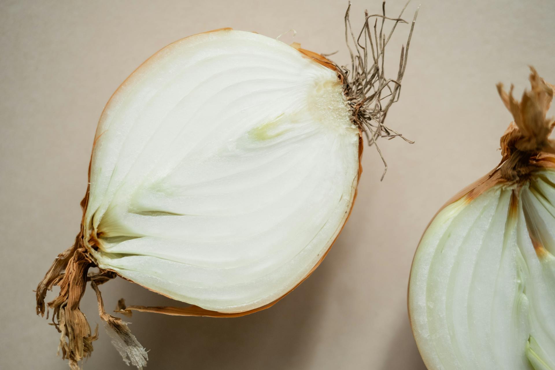 How Long Does A Cut Onion Last In The Fridge? | Fridge.com