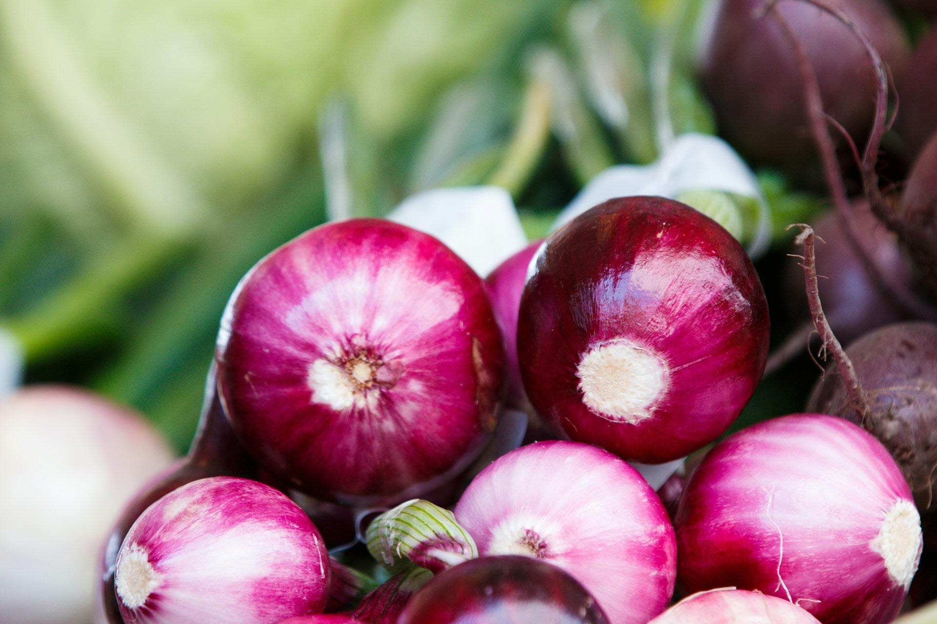 How Long Does A Cut Red Onion Last In The Fridge? | Fridge.com