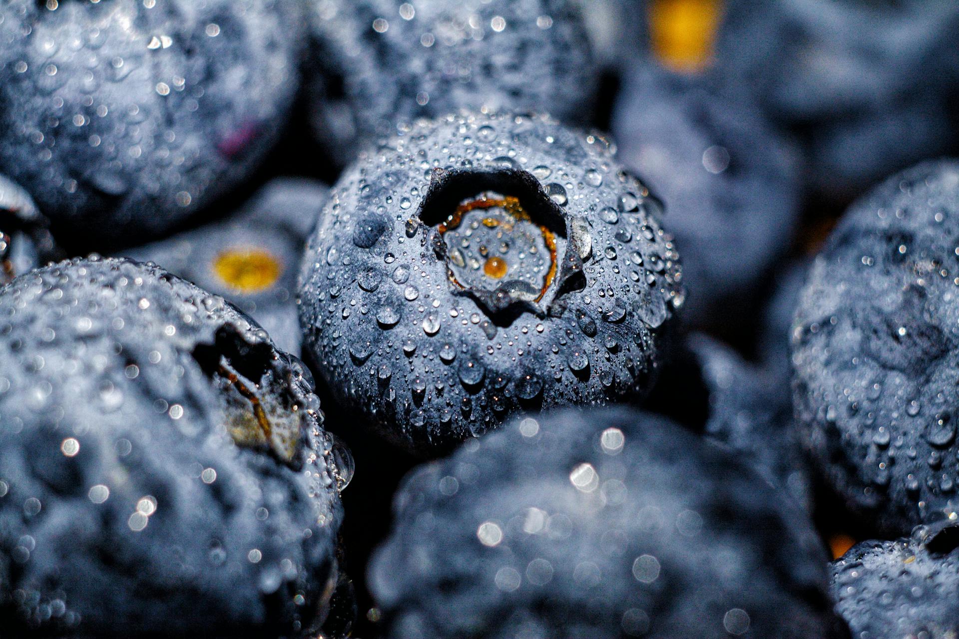 How Long Does Acai Berry Juice Last In The Fridge? | Fridge.com