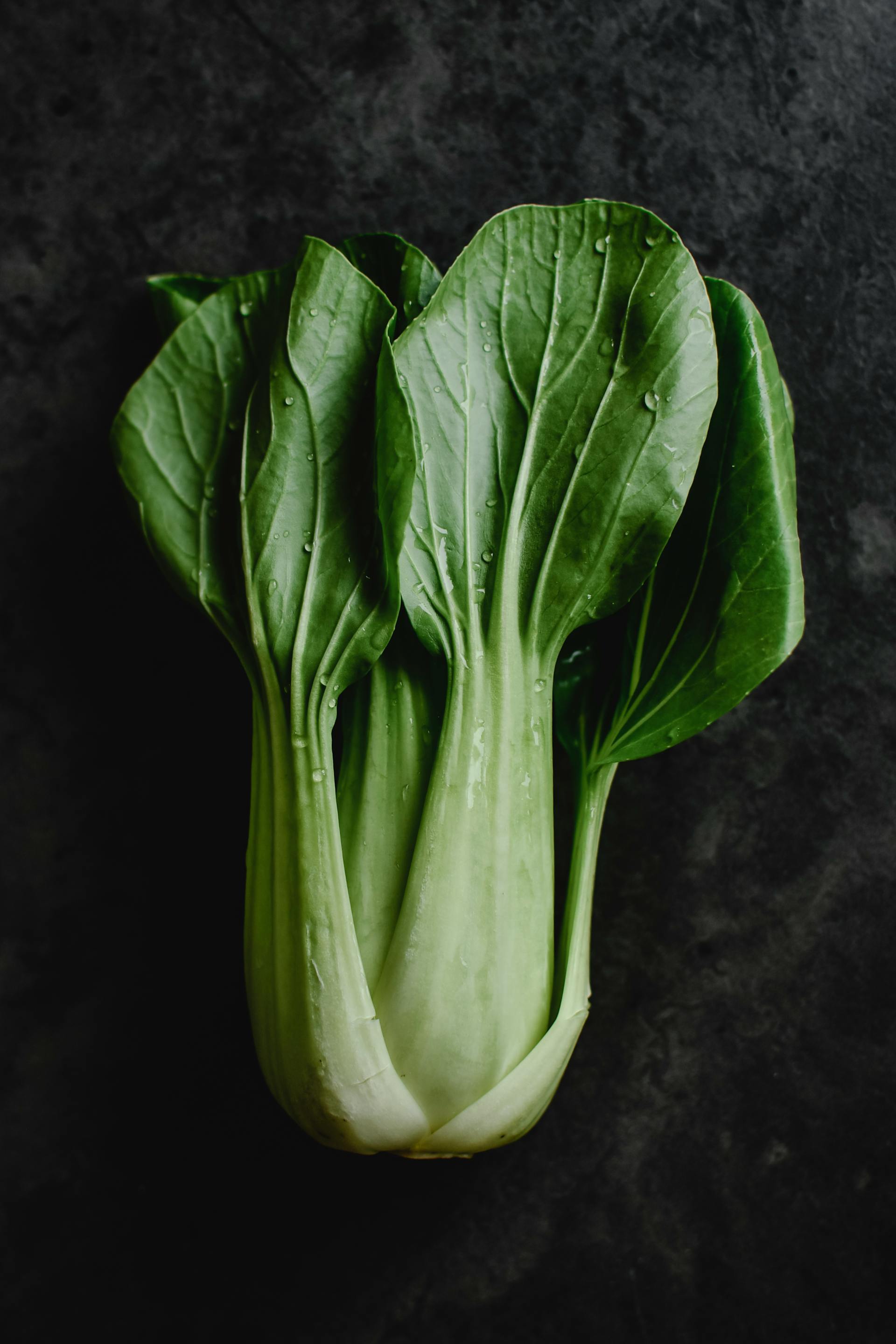 How Long Does Bok Choy Last In The Fridge? | Fridge.com