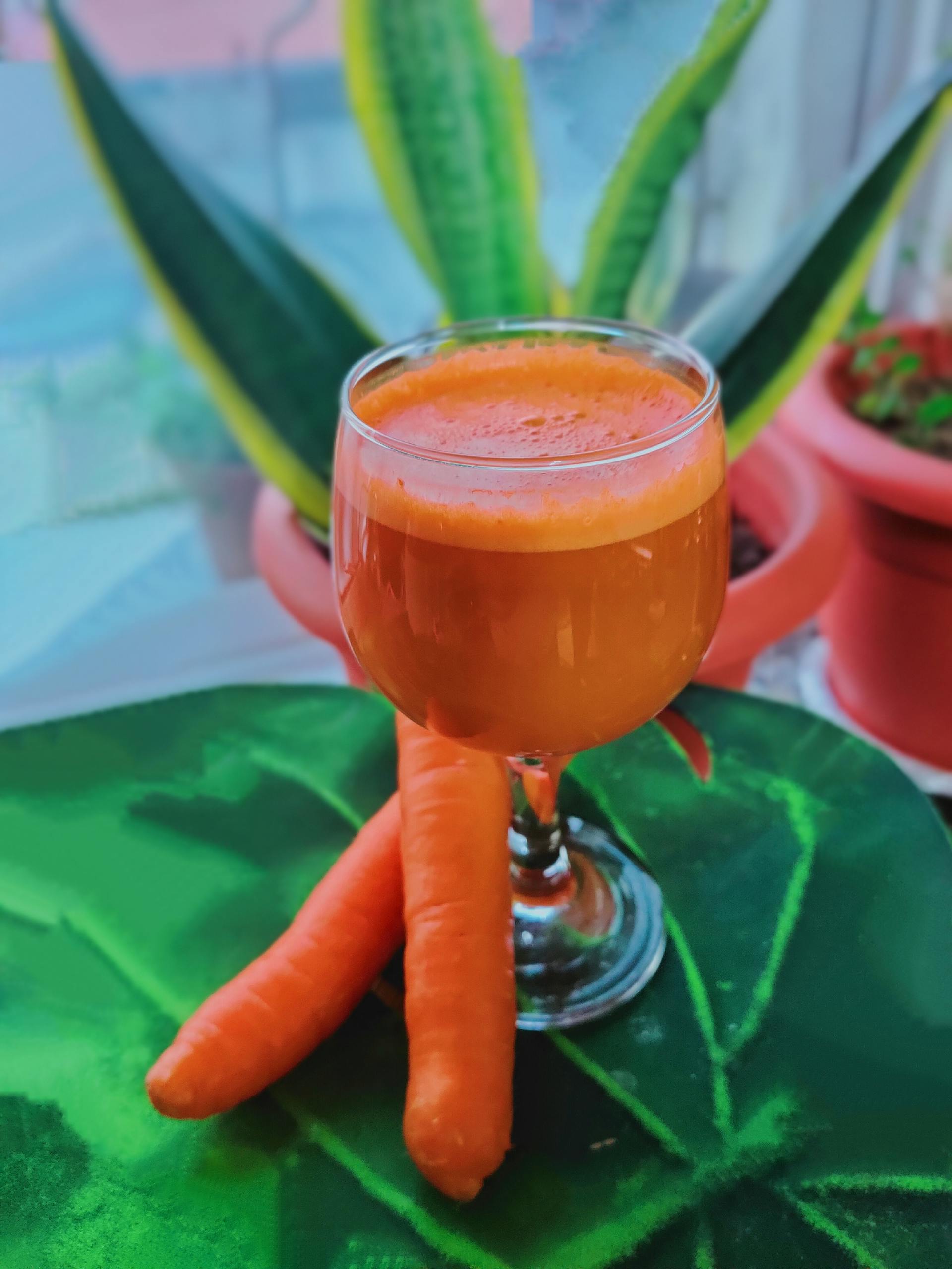 How Long Does Carrot Juice Last In The Fridge? | Fridge.com