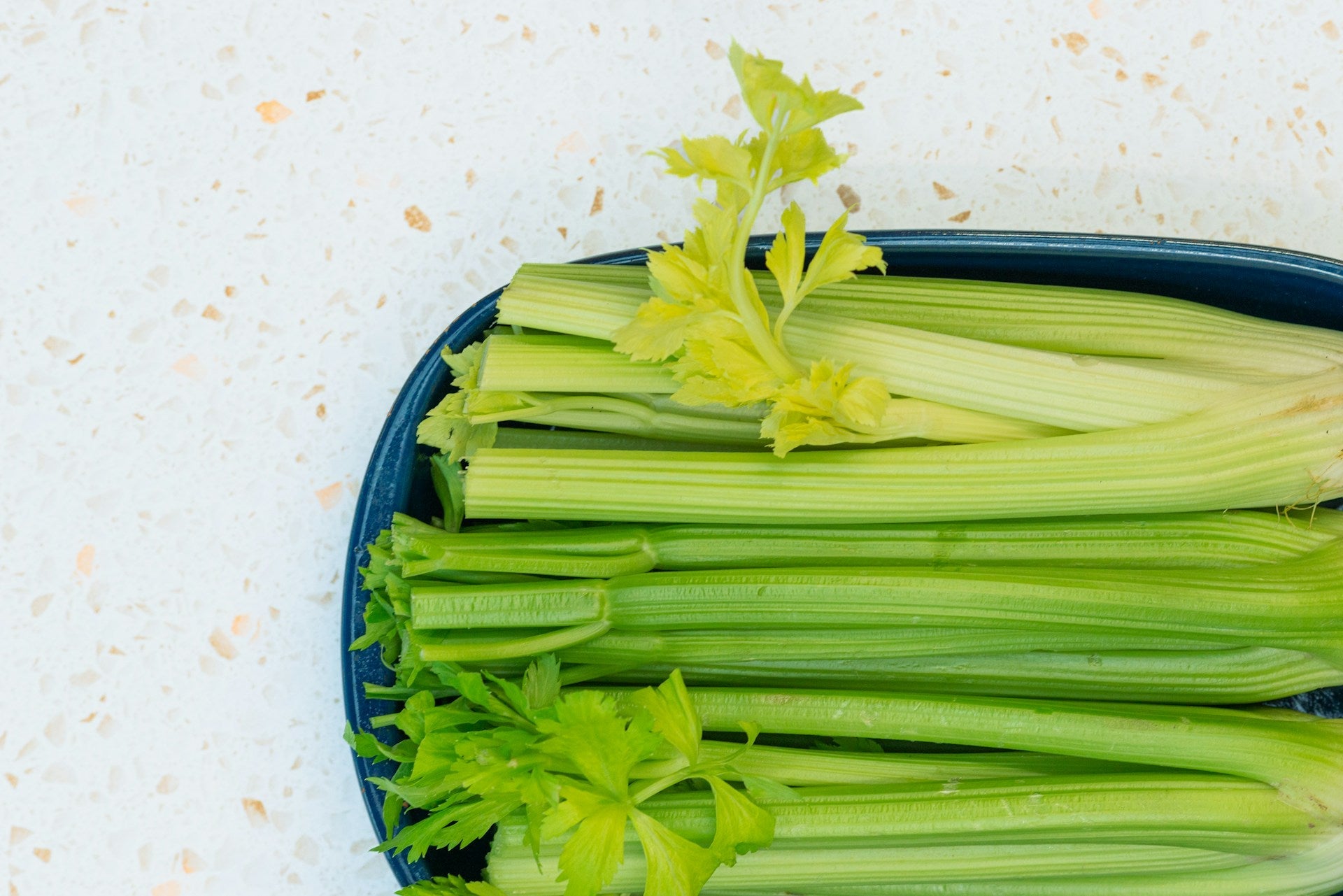 How Long Does Celery Last In The Refrigerator? | Fridge.com