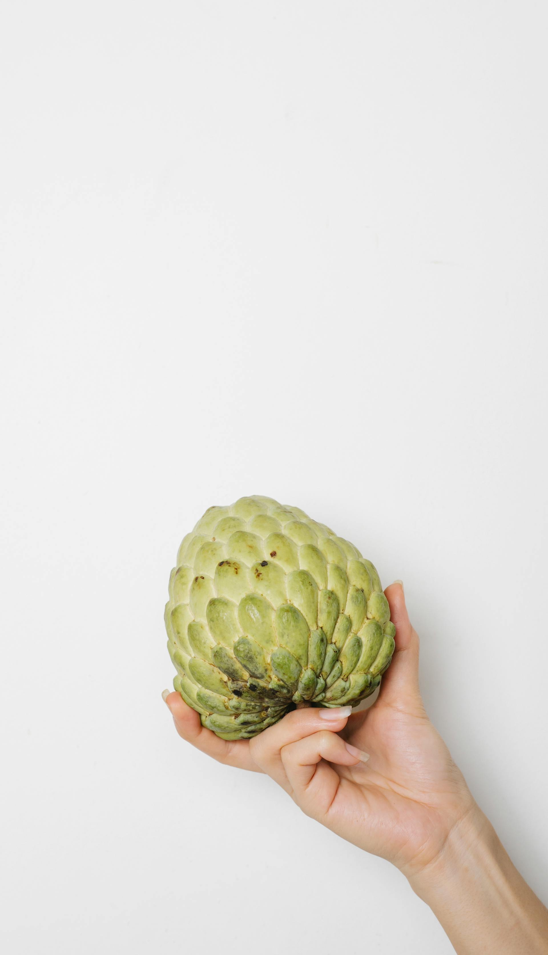 How Long Does Cherimoya Last In The Fridge? | Fridge.com