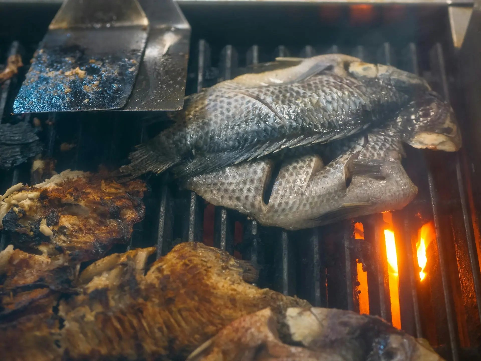 How Long Does Cooked Tilapia Last In The Refrigerator? | Fridge.com