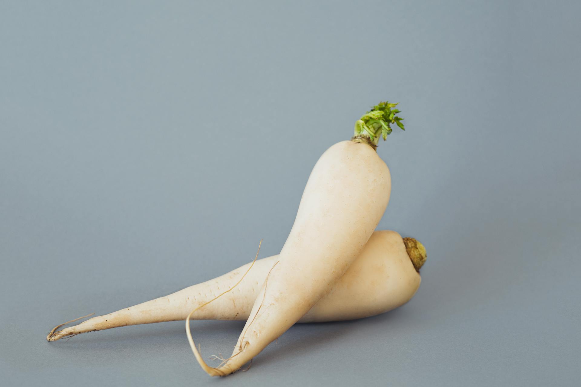 How Long Does Daikon Radish Last In The Fridge? | Fridge.com