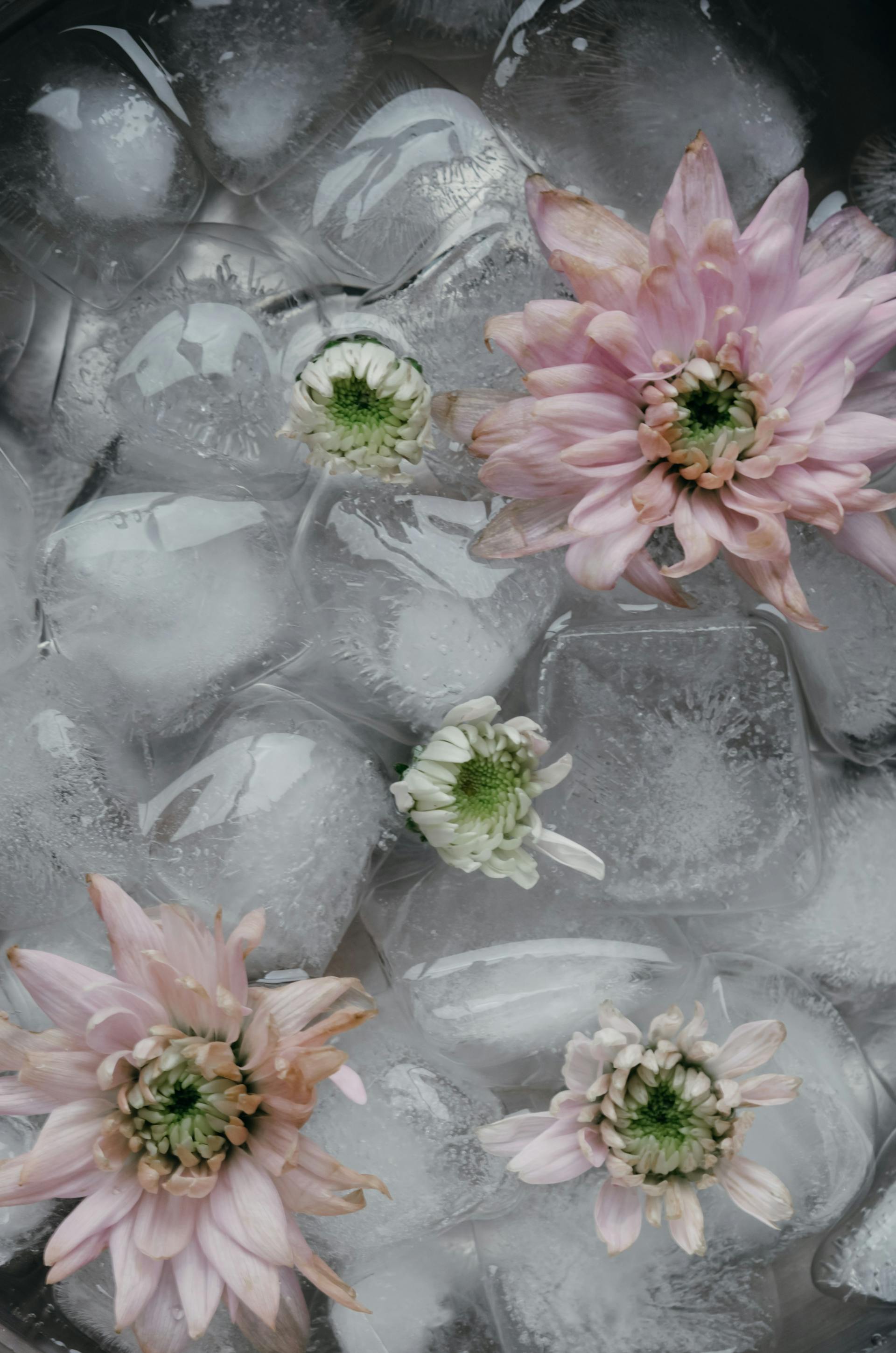 How Long Does It Take Ice To Freeze In The Freezer? | Fridge.com