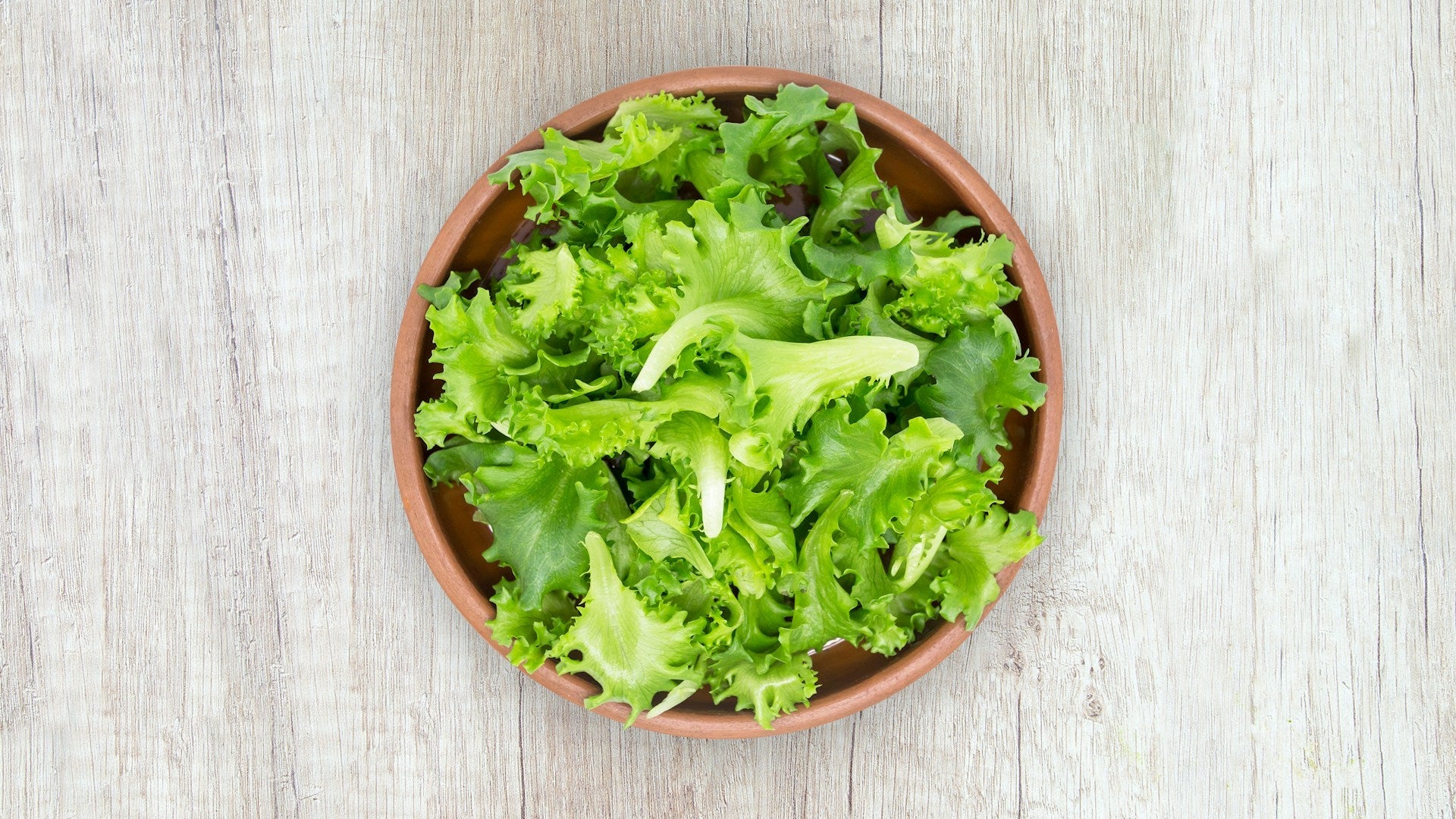 How Long Does Lettuce Last In The Fridge? | Fridge.com