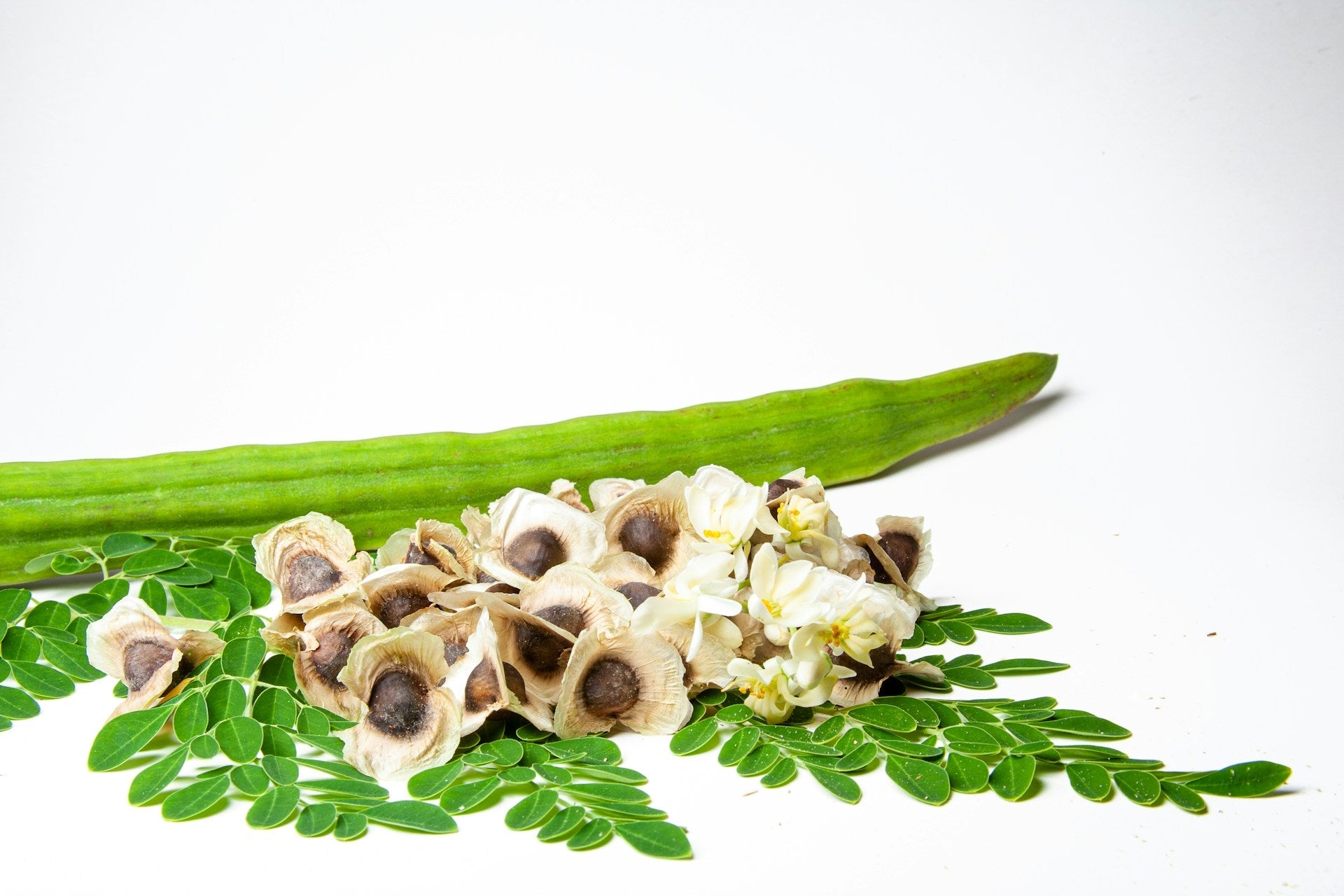 How Long Does Malunggay (Moringa) Last In The Fridge? | Fridge.com