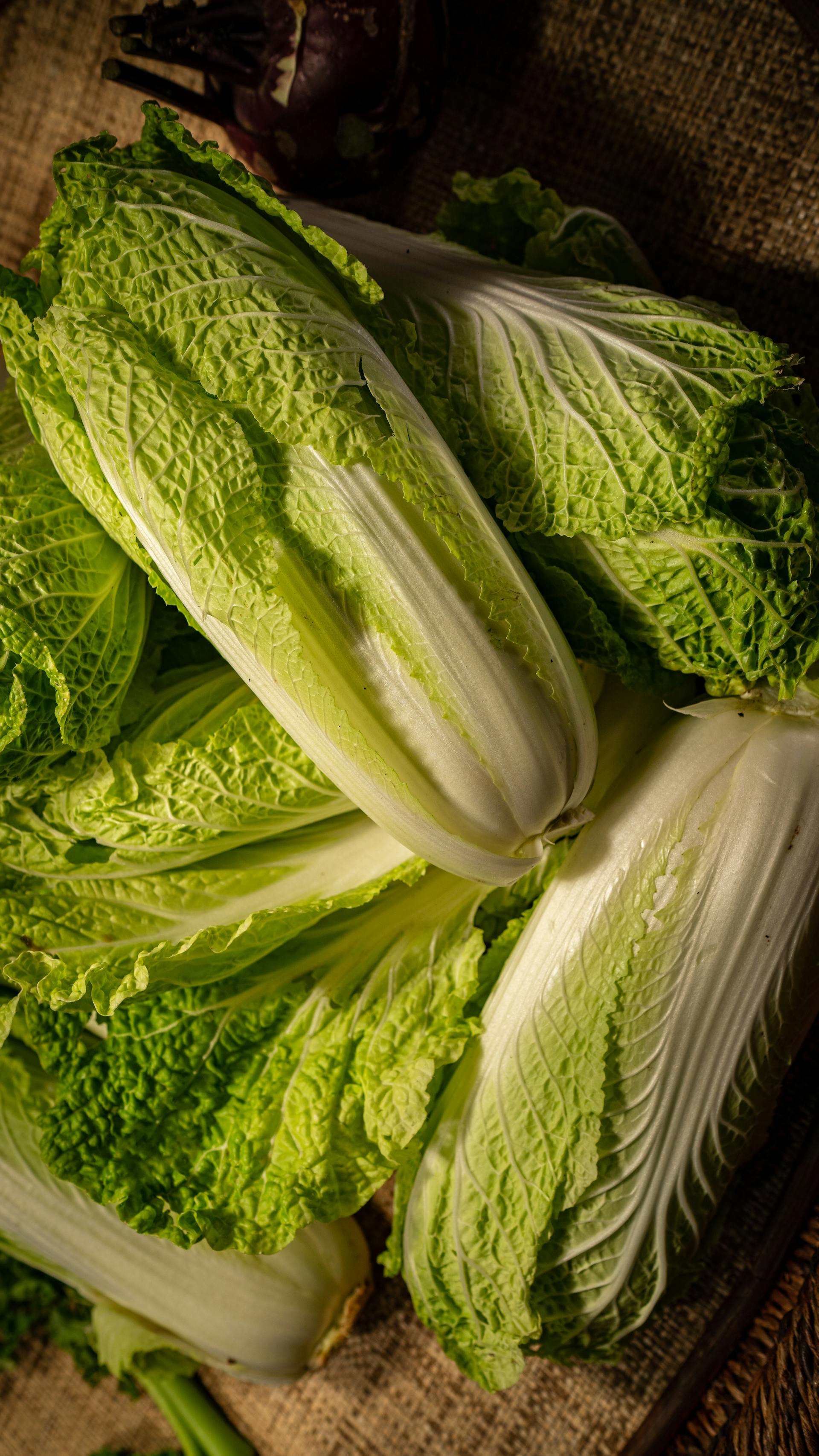 How Long Does Napa Cabbage Last In The Fridge? | Fridge.com