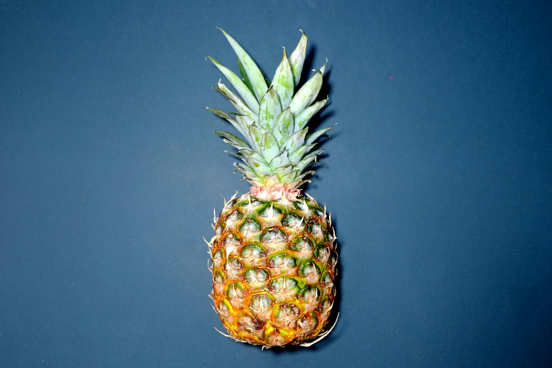 How Long Does Pineapple Stay Good In The Fridge? | Fridge.com