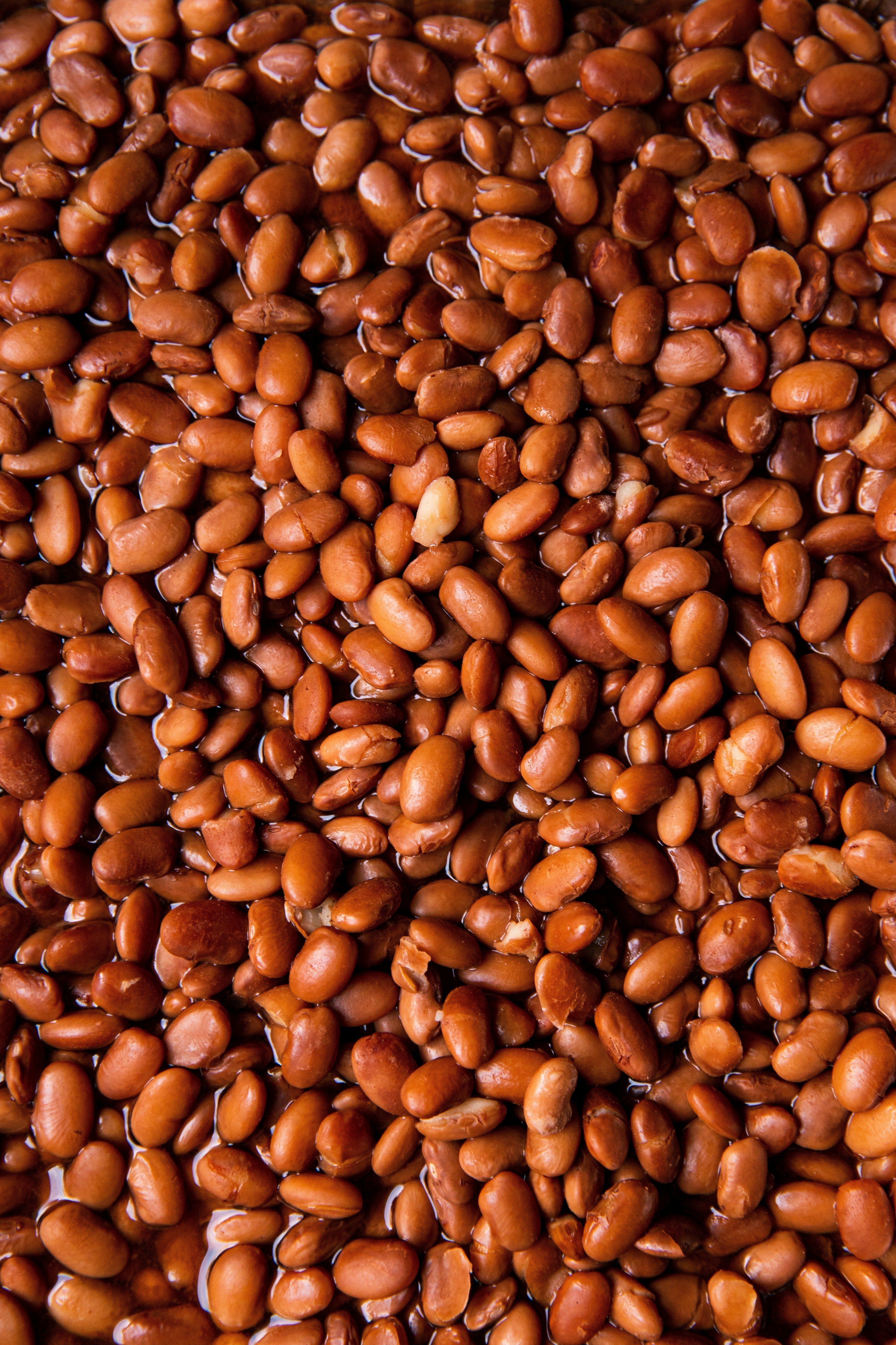 How Long Does Pinto Beans Last In The Refrigerator? | Fridge.com
