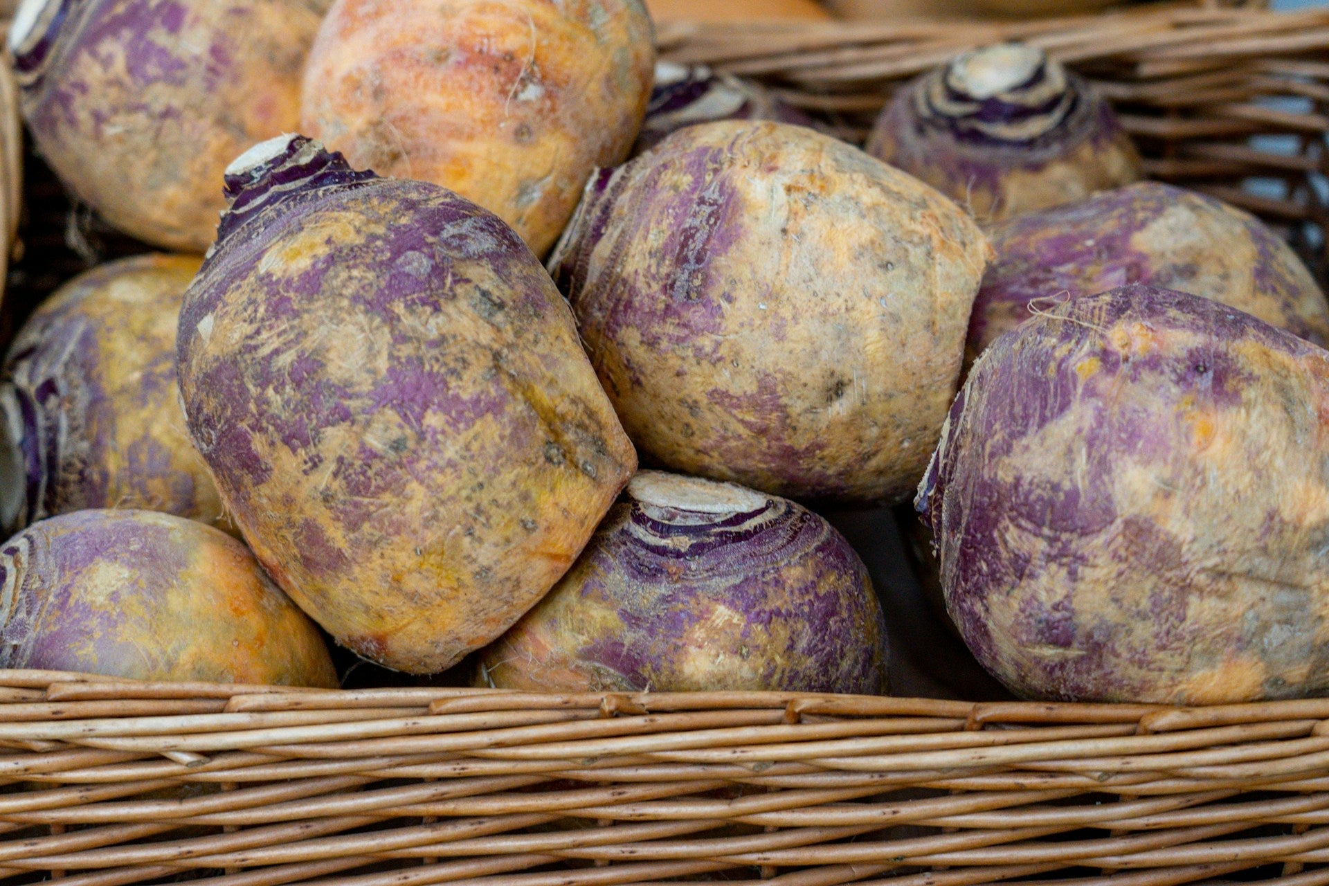 How Long Does Rutabaga Last In The Fridge? | Fridge.com