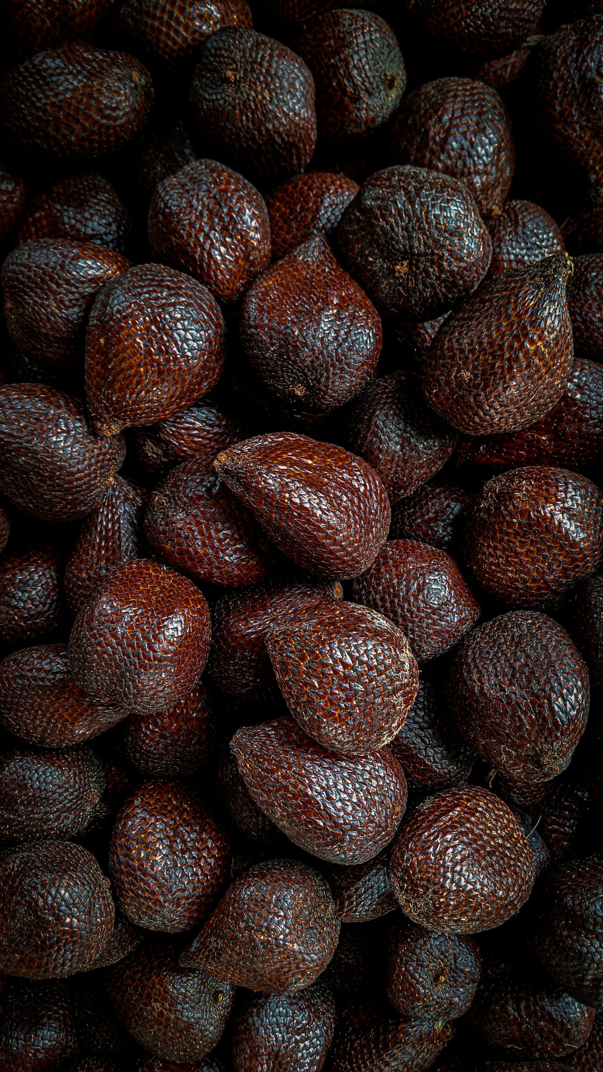 How Long Does Snake Fruit Last In The Fridge? | Fridge.com
