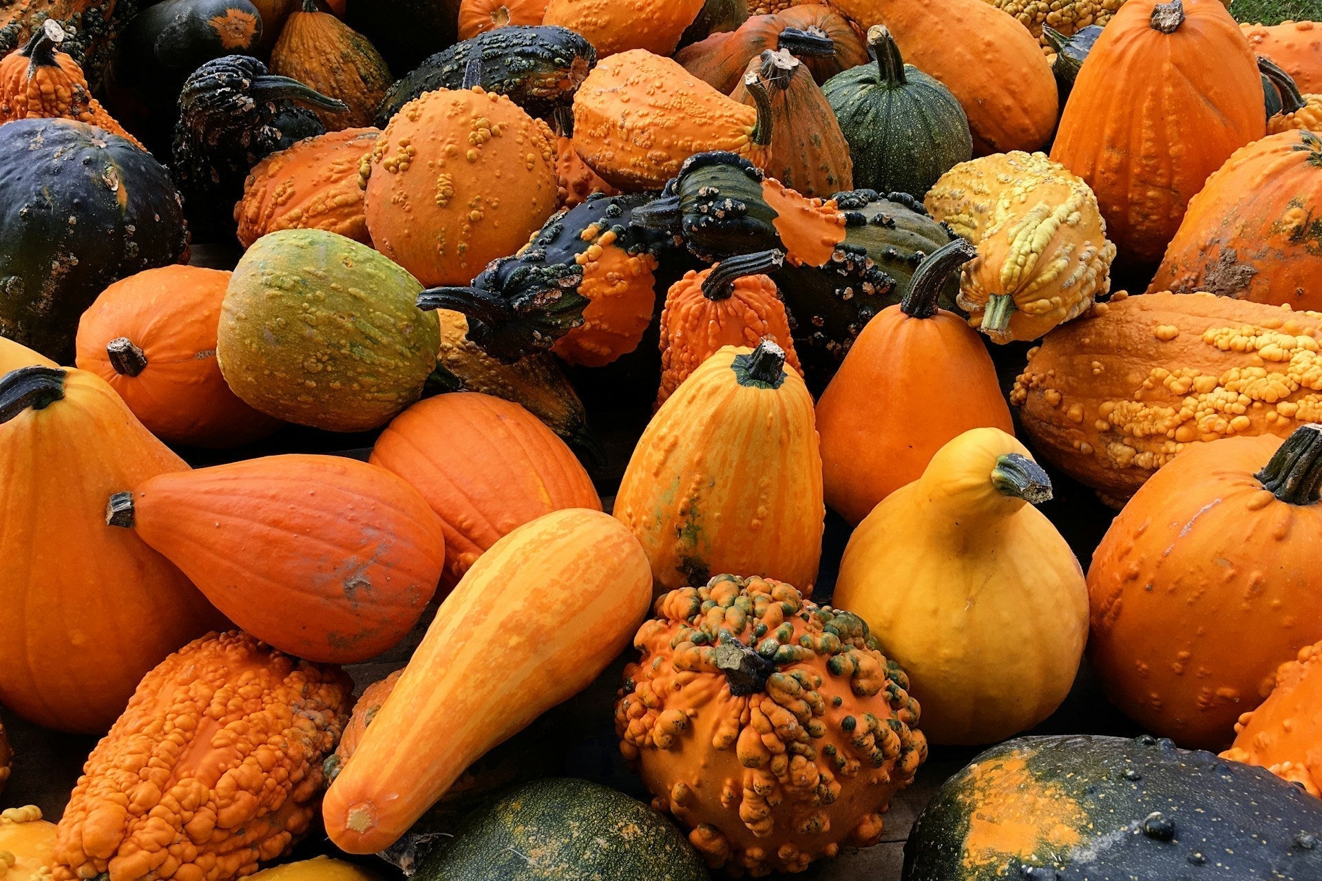 How Long Does Squash Last In The Fridge? | Fridge.com