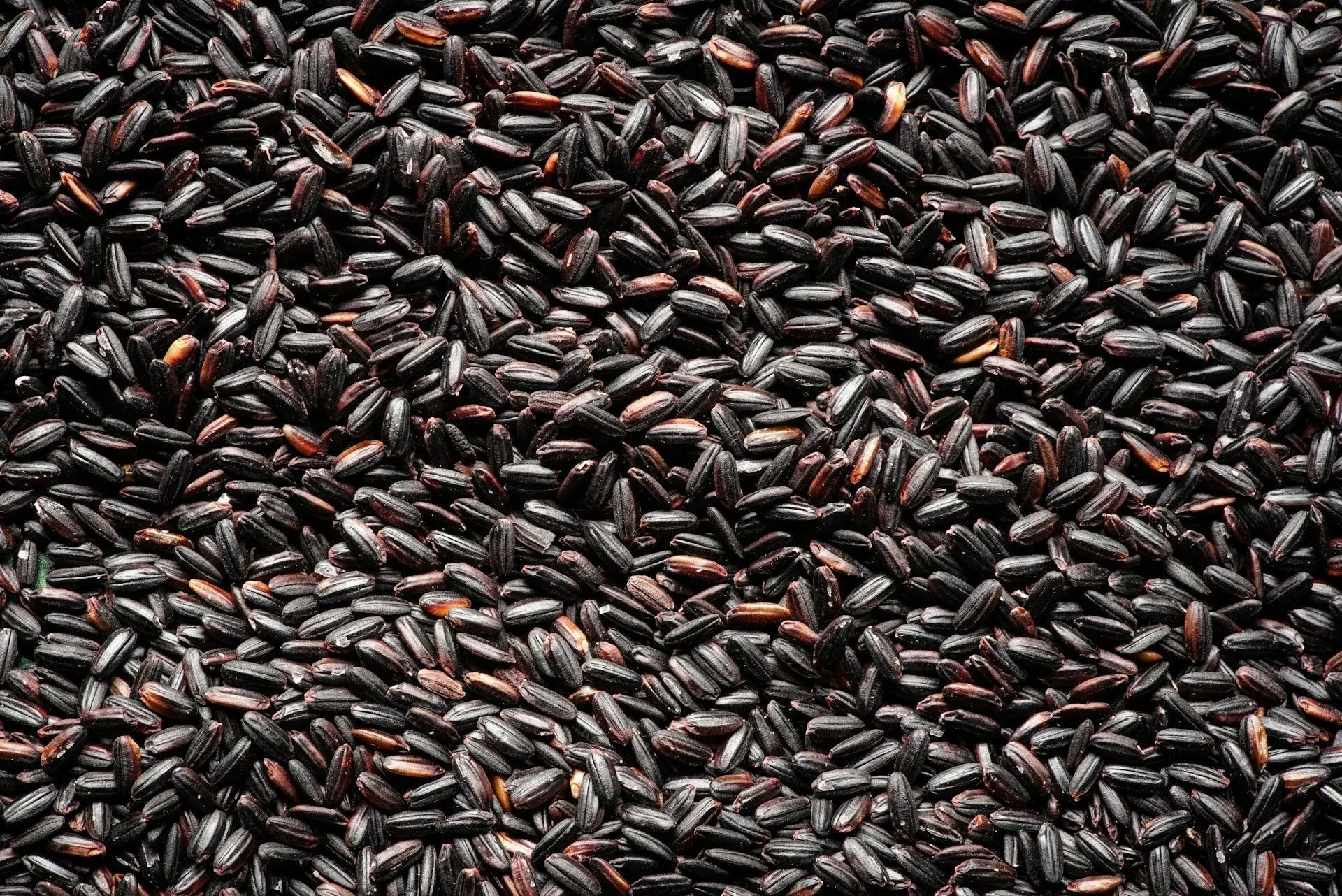 How Long Is Black Rice Good For In The Fridge? | Fridge.com