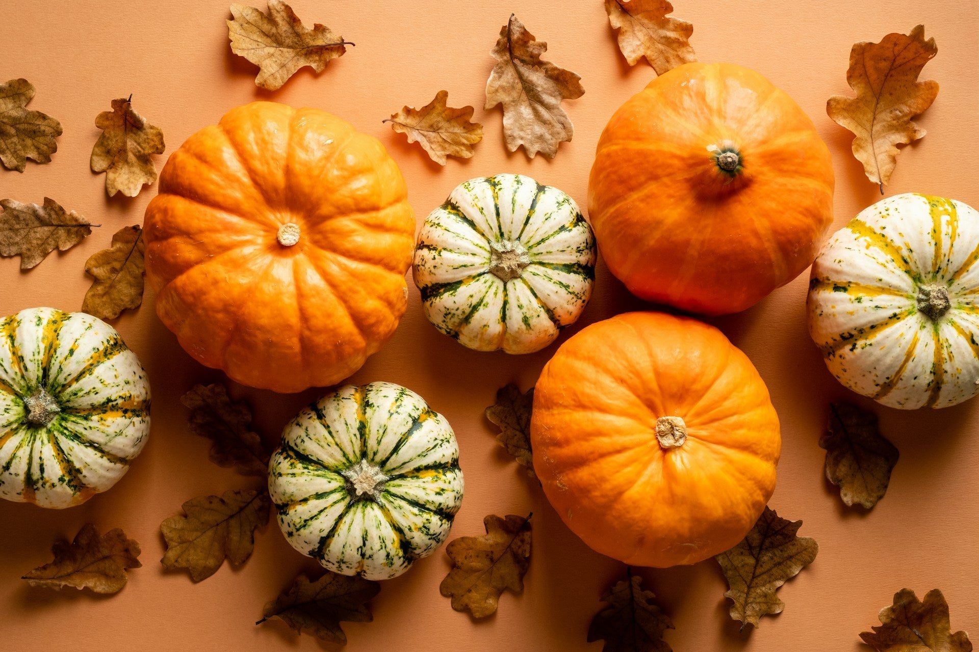 How Long Should Pumpkin Pie Cool Before Refrigerating? | Fridge.com