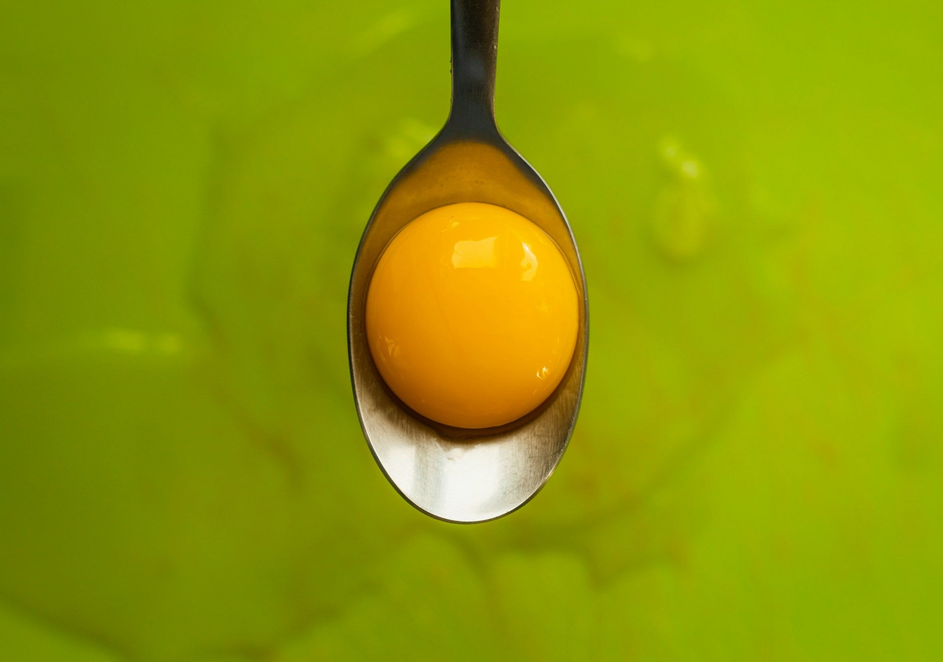 How Long Will Egg Yolks Keep In Fridge? | Fridge.com