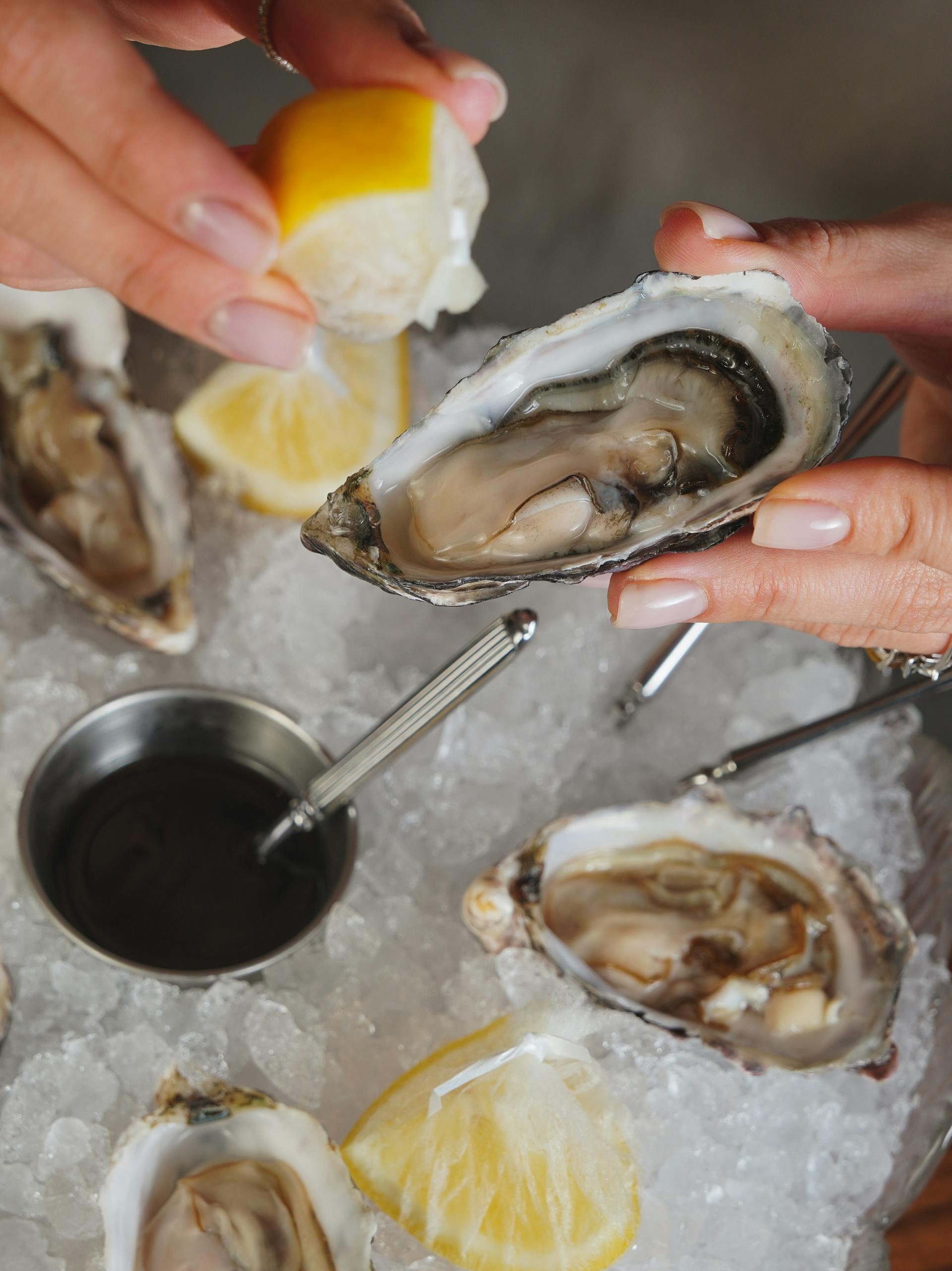 How Long Will Oysters Last In The Fridge? | Fridge.com