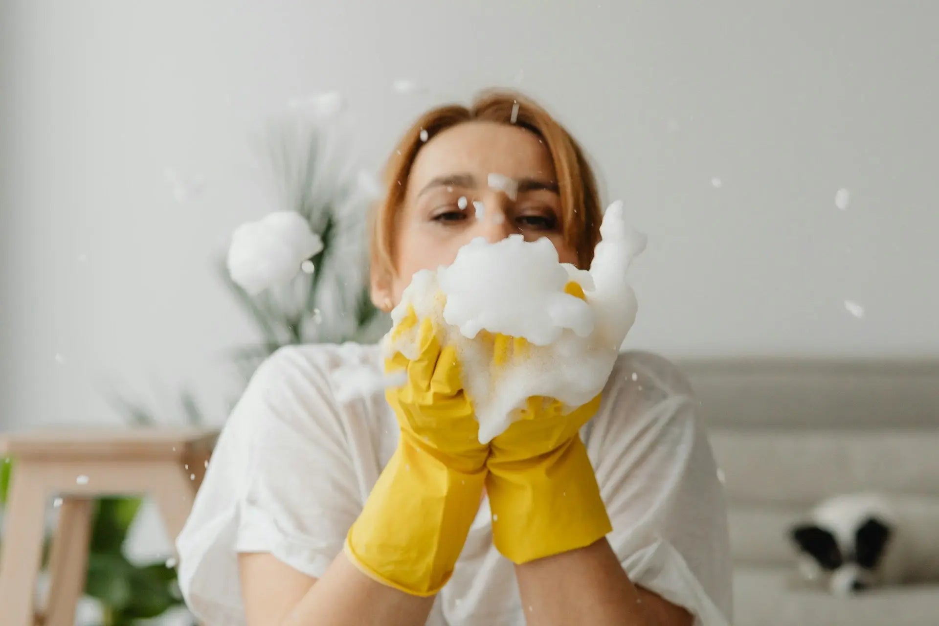 How To Deep Clean Refrigerator | Fridge.com