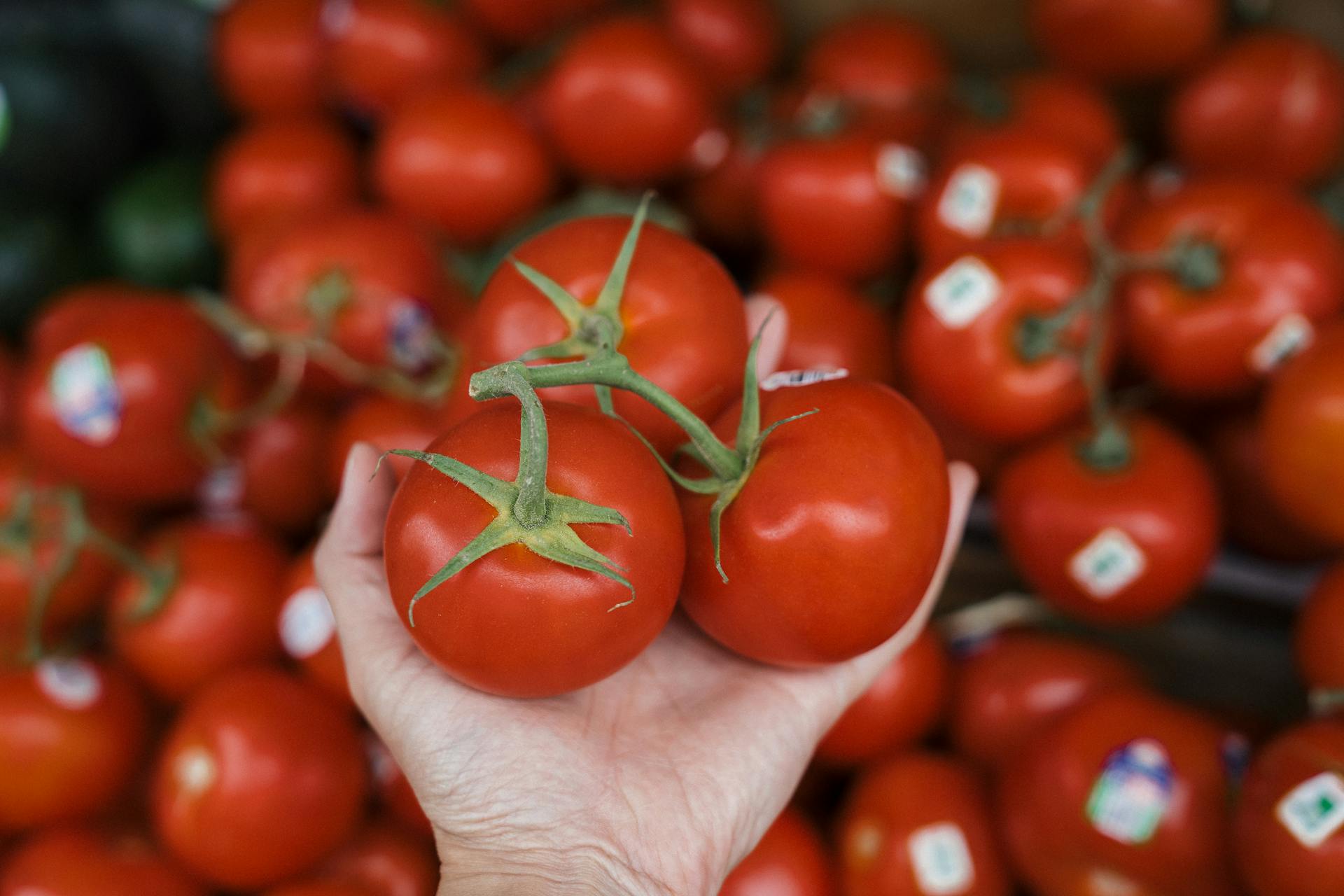 How To Freeze A Tomato | Fridge.com