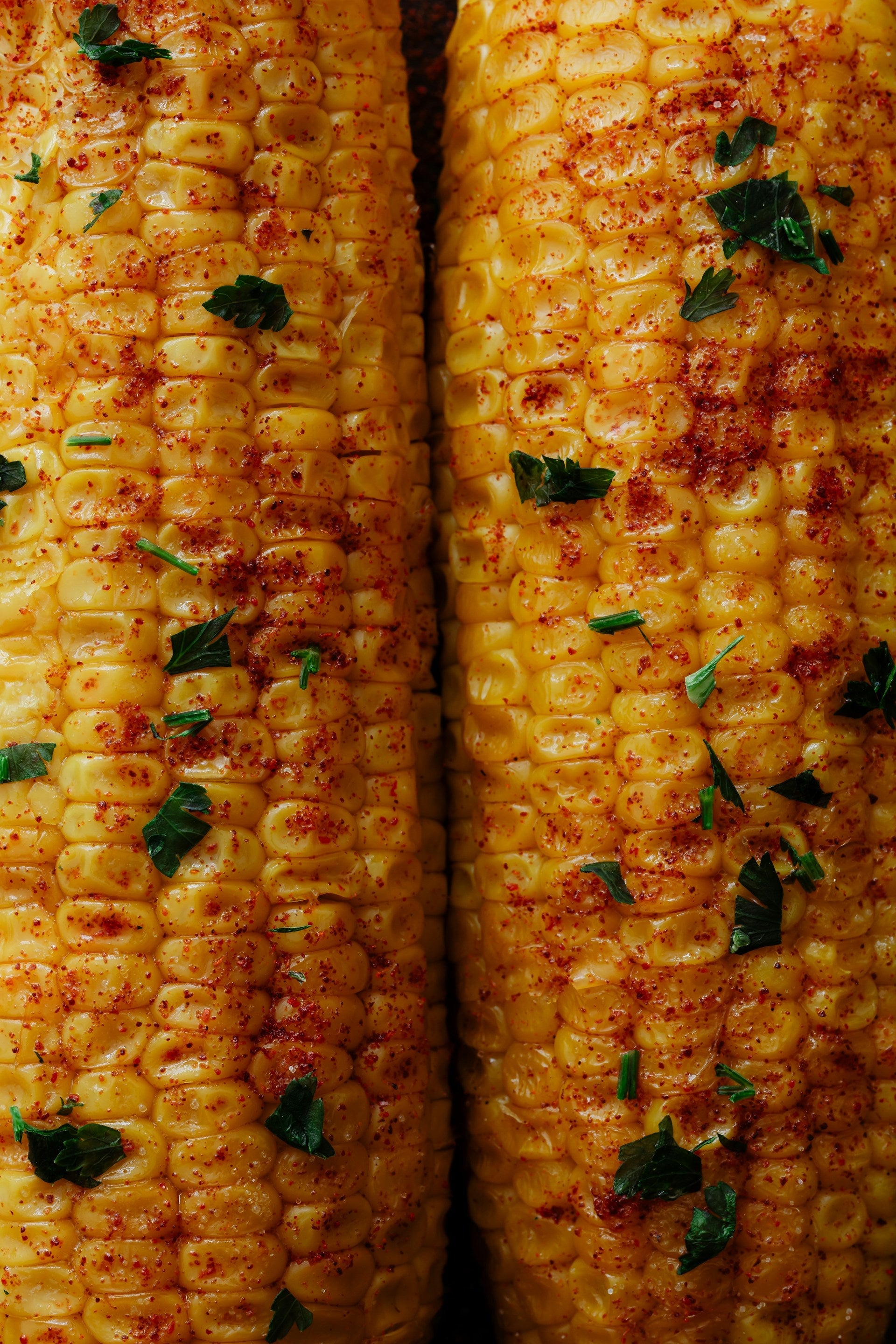 How To Freeze Corn On The Cob? | Fridge.com