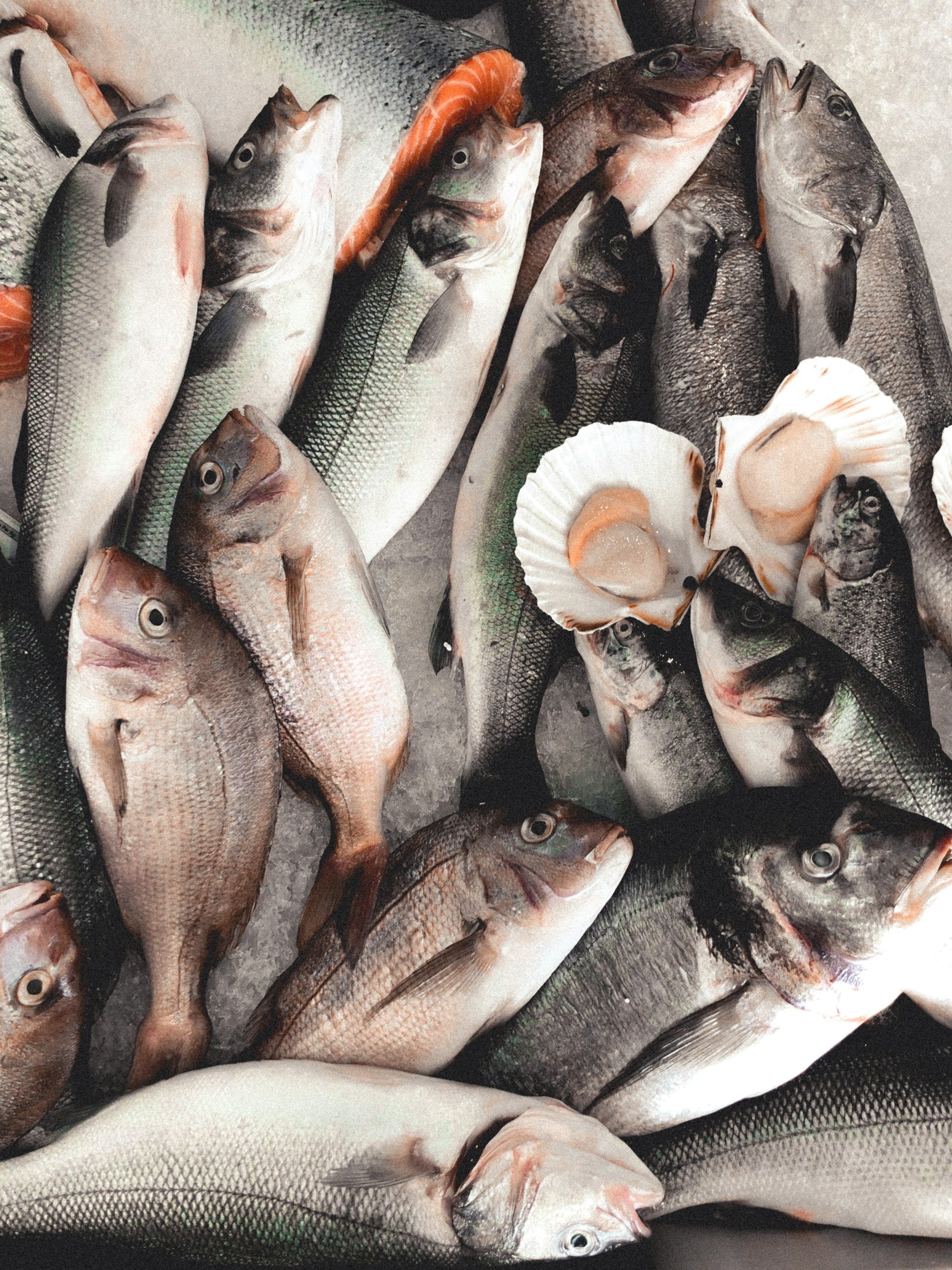 How To Keep Fish Fresh In Fridge Longer? | Fridge.com