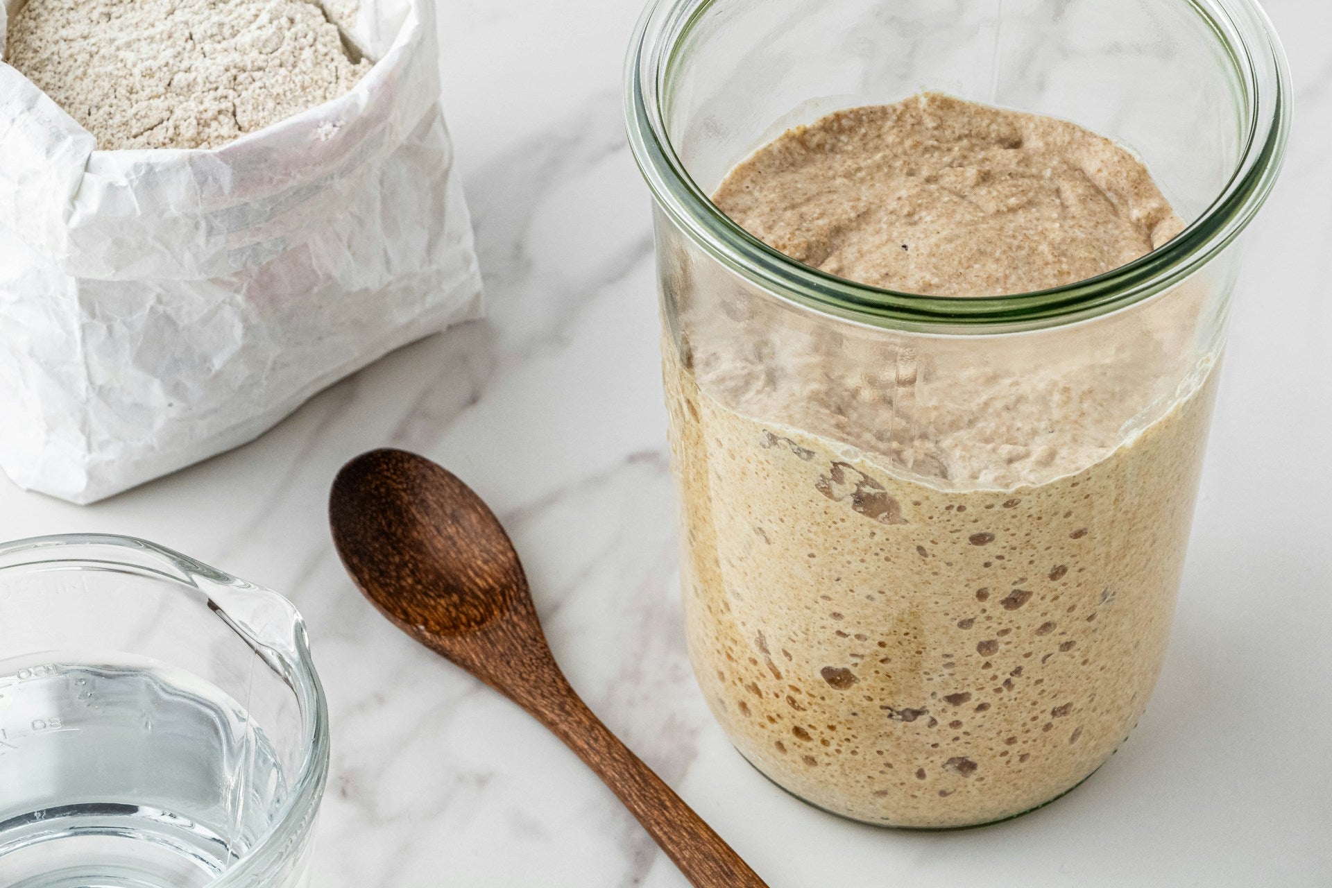 How To Revive Sourdough Starter From The Fridge | Fridge.com