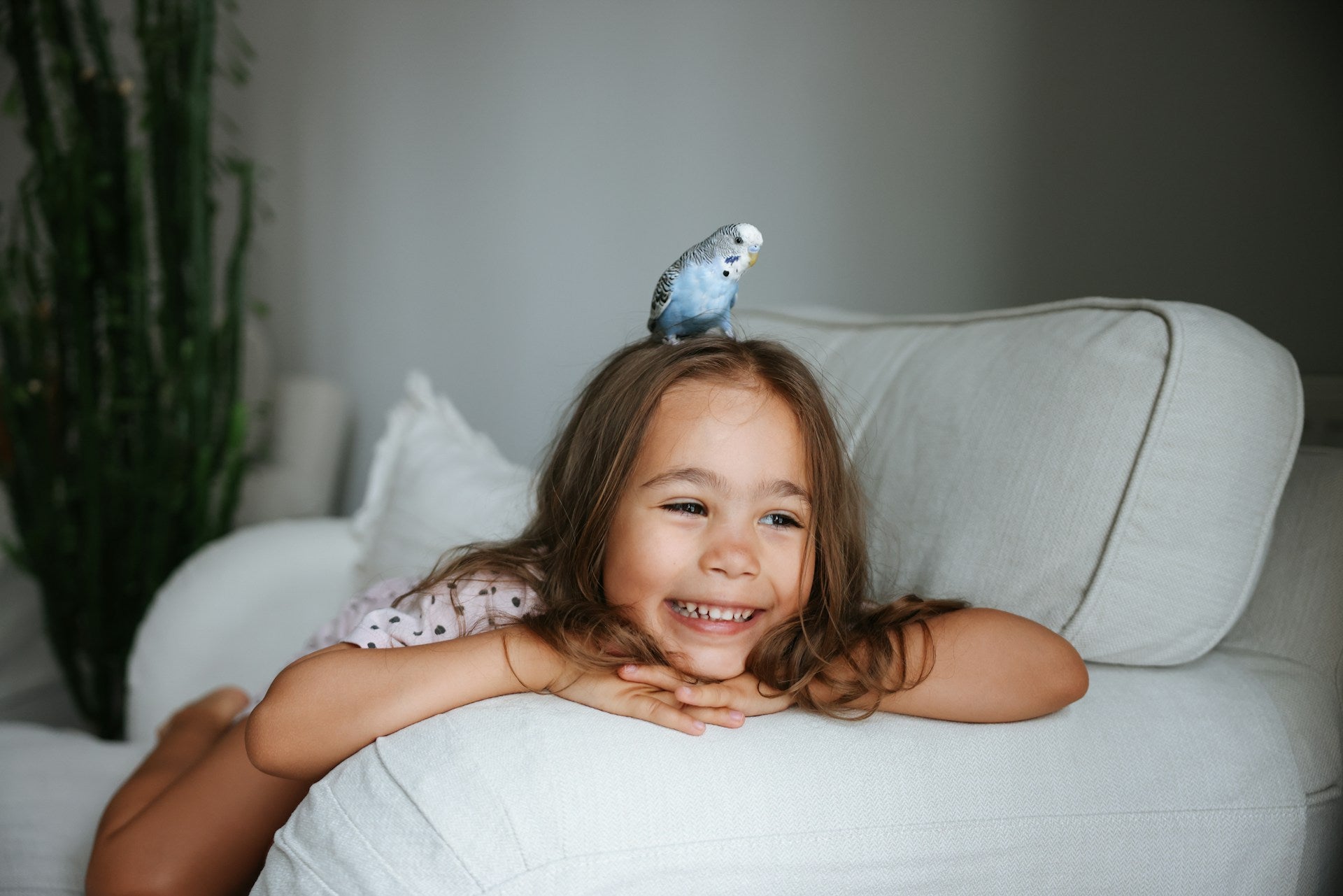 Keeping Bird Food Fresh In The Freezer For Your Feathered Friend | Fridge.com
