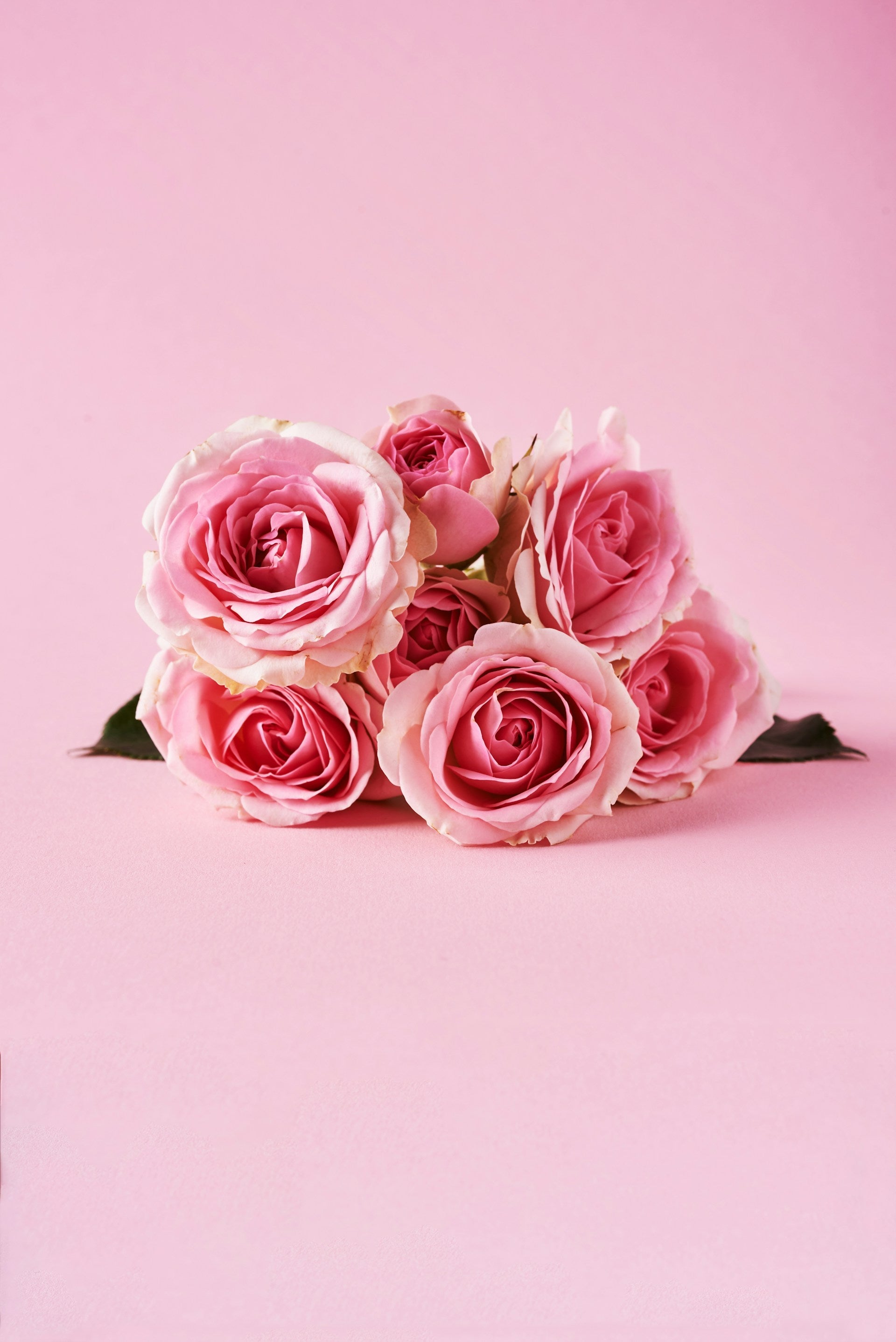 Keeping Roses In The Fridge | Fridge.com