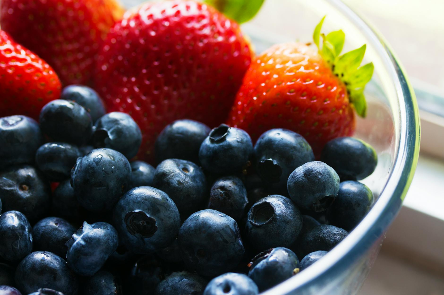 Longer Lasting Delights: How To Store Blueberries In The Fridge? | Fridge.com