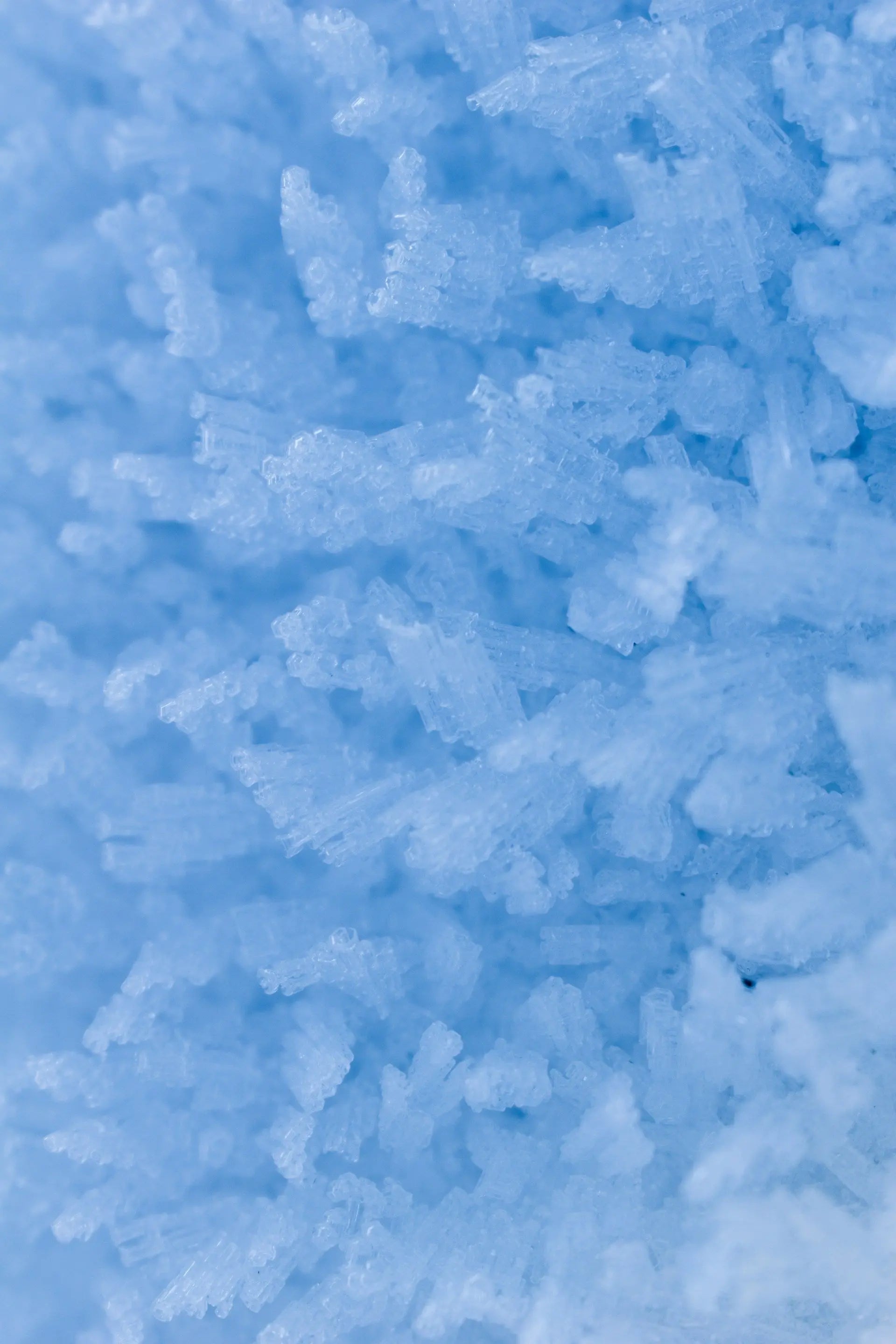 Minus Forty 3 Door Freezer | Fridge.com