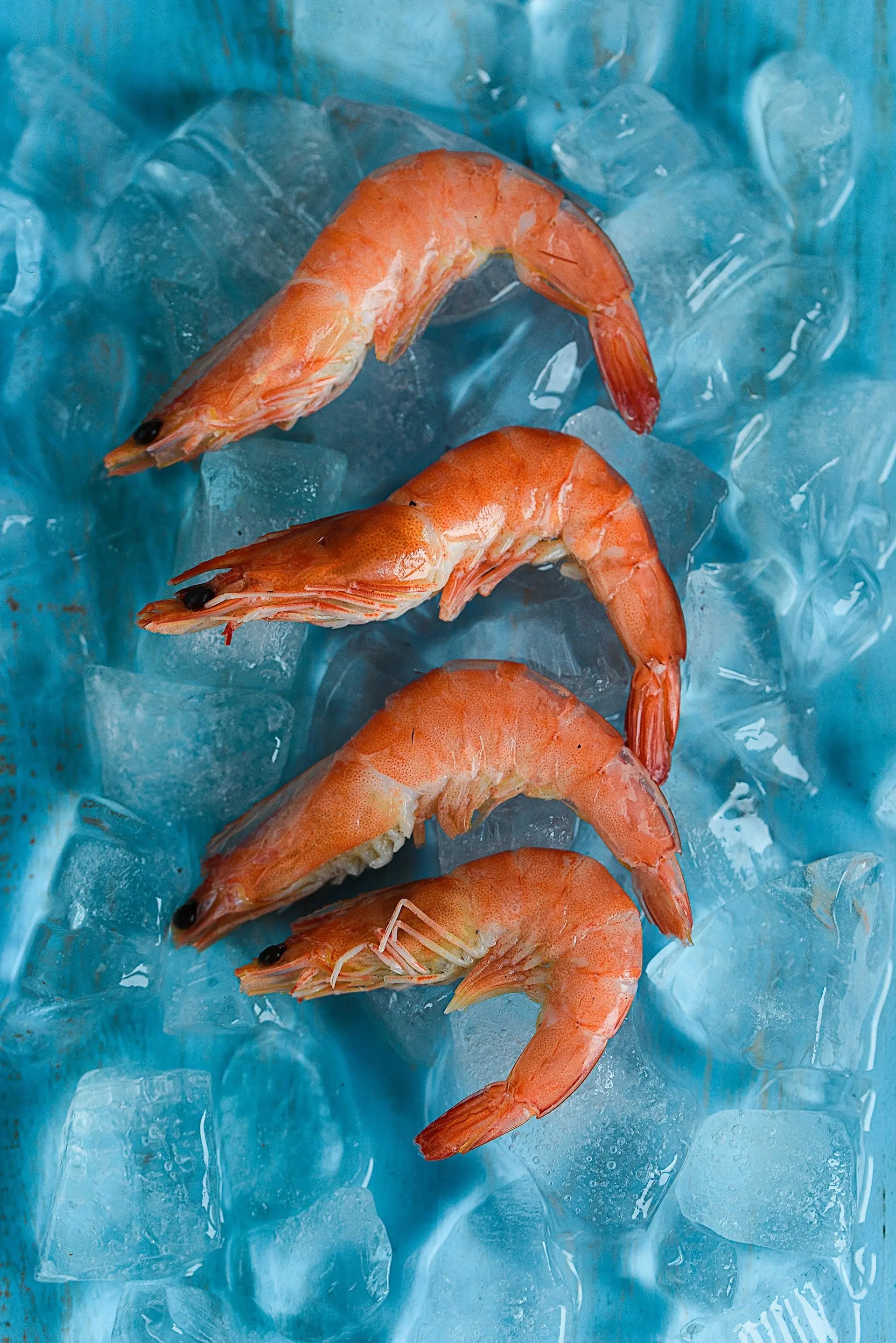 Order Deep Freezers: Sale | Fridge.com