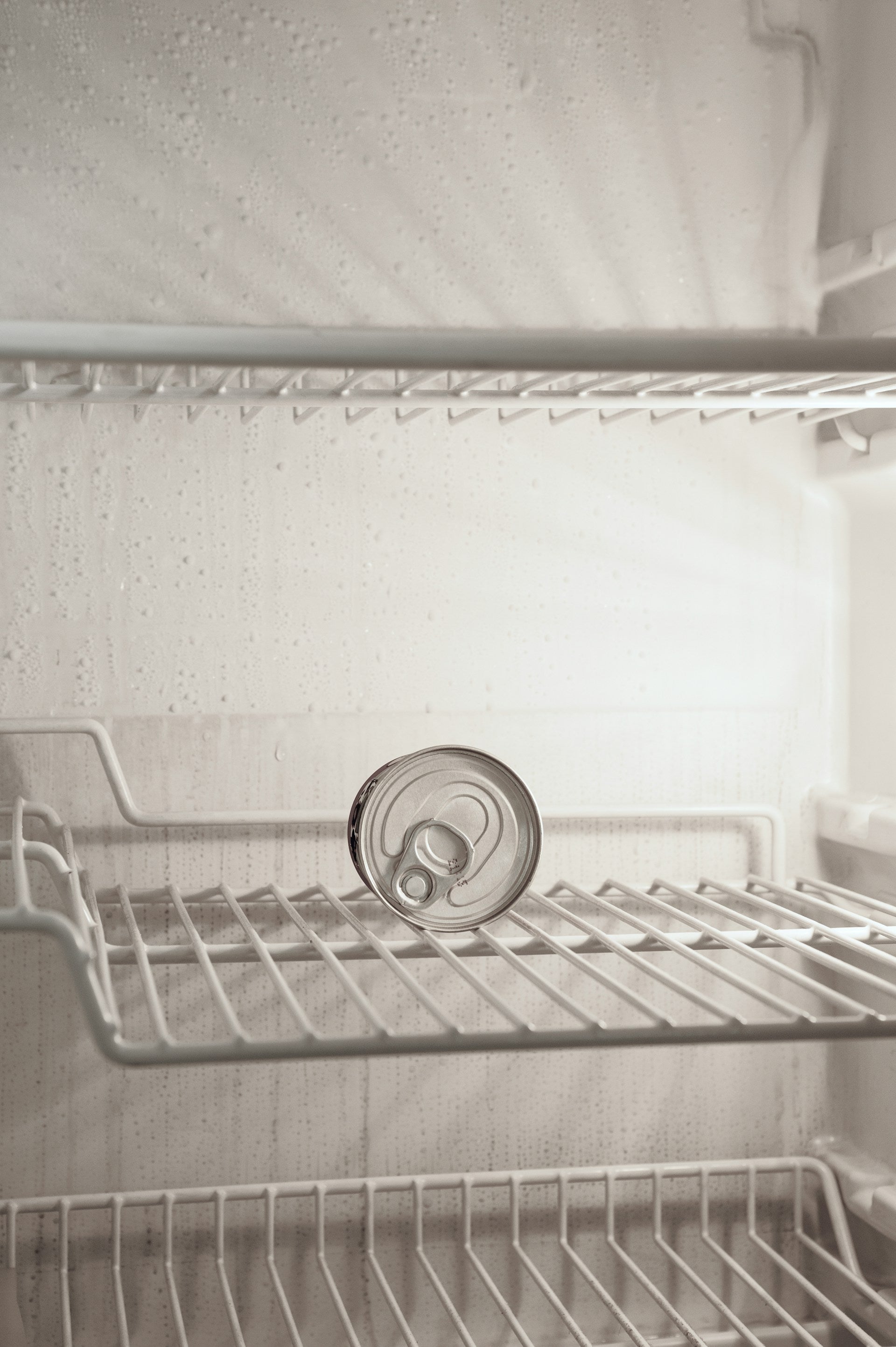 Refrigerator Storage Mold Removal | Fridge.com