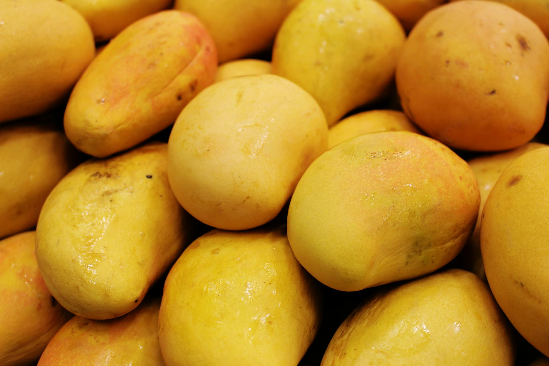 Should I Keep Mangoes In The Fridge? | Fridge.com