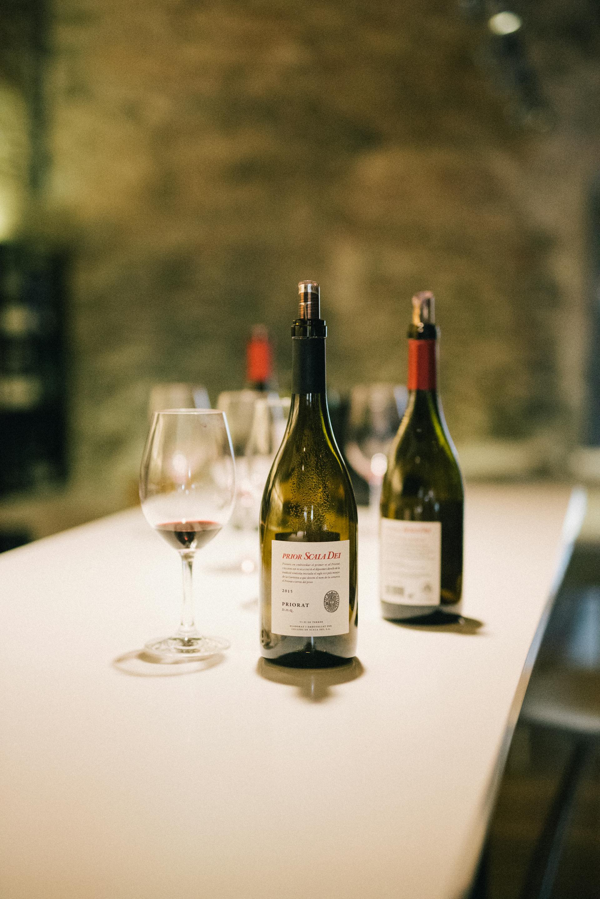 Small Upright Freezer Vs. Wine Refrigerator | Fridge.com