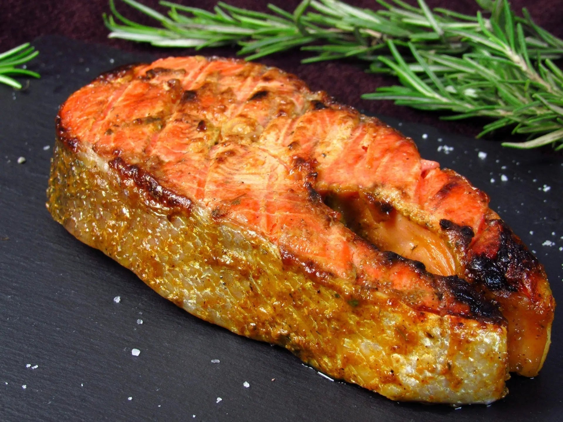 Smoked Salmon Freeze | Fridge.com