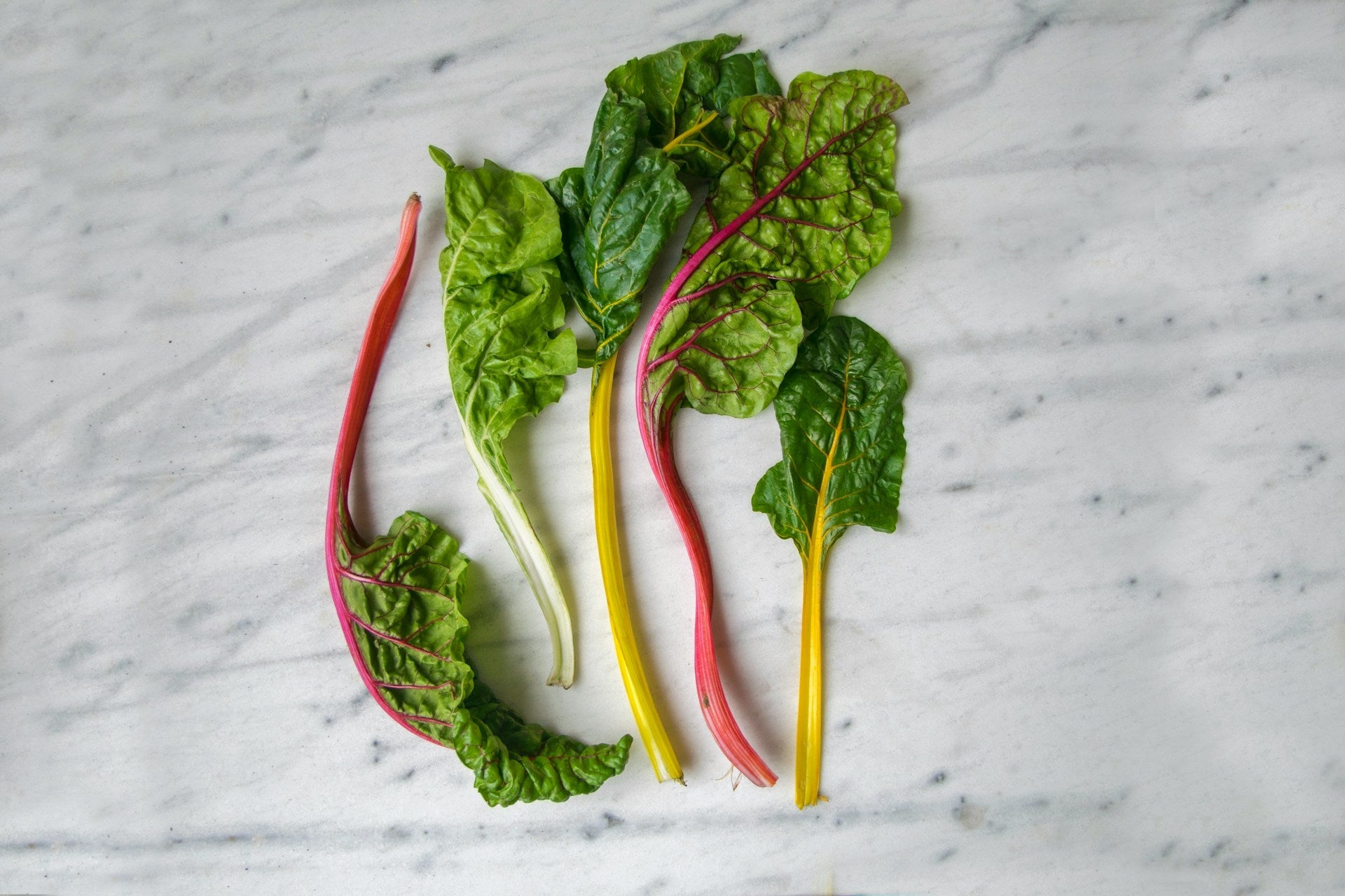 Storing Swiss Chard In The Fridge Properly | Fridge.com