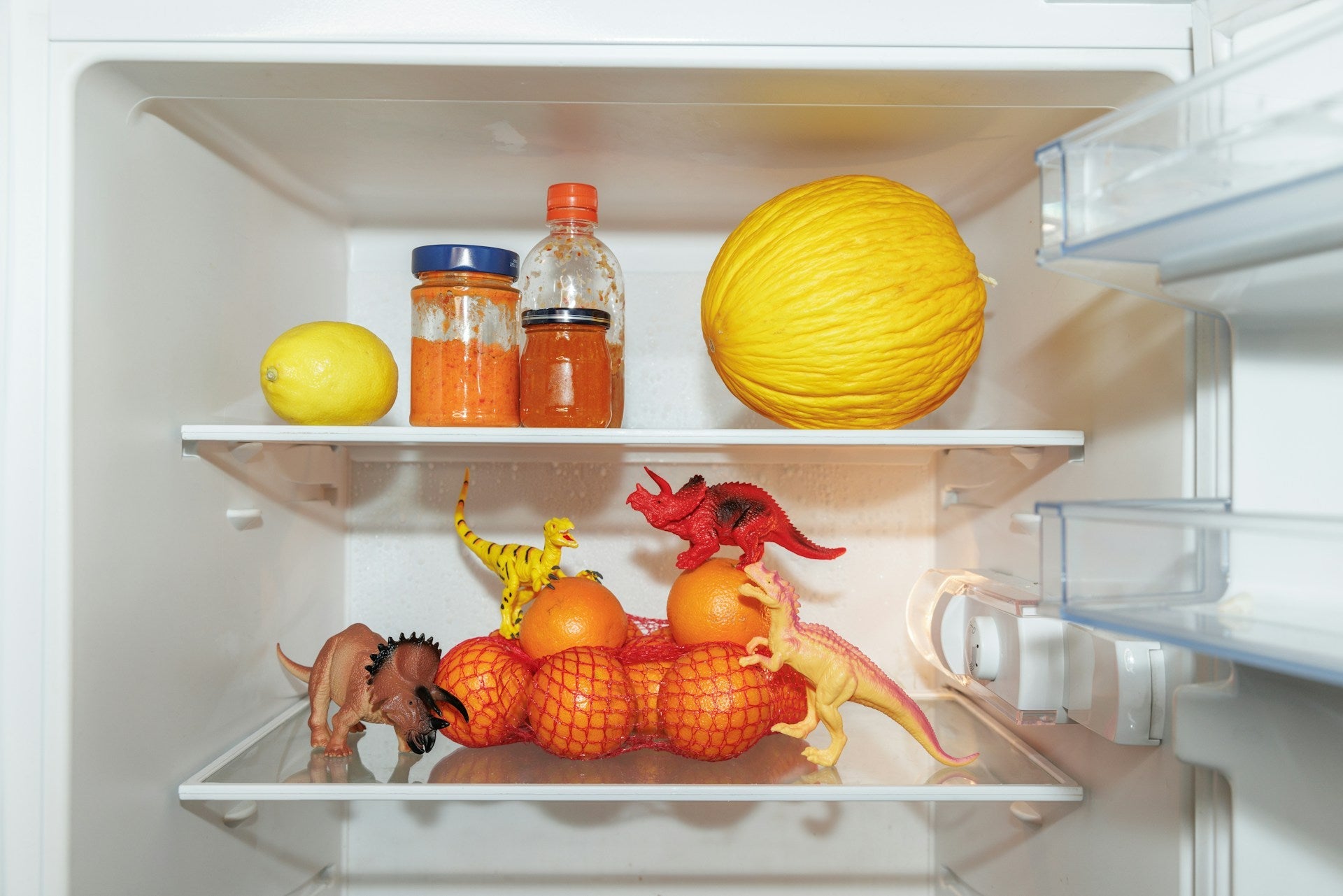 The Mini Fridge Lifestyle | Fridge.com