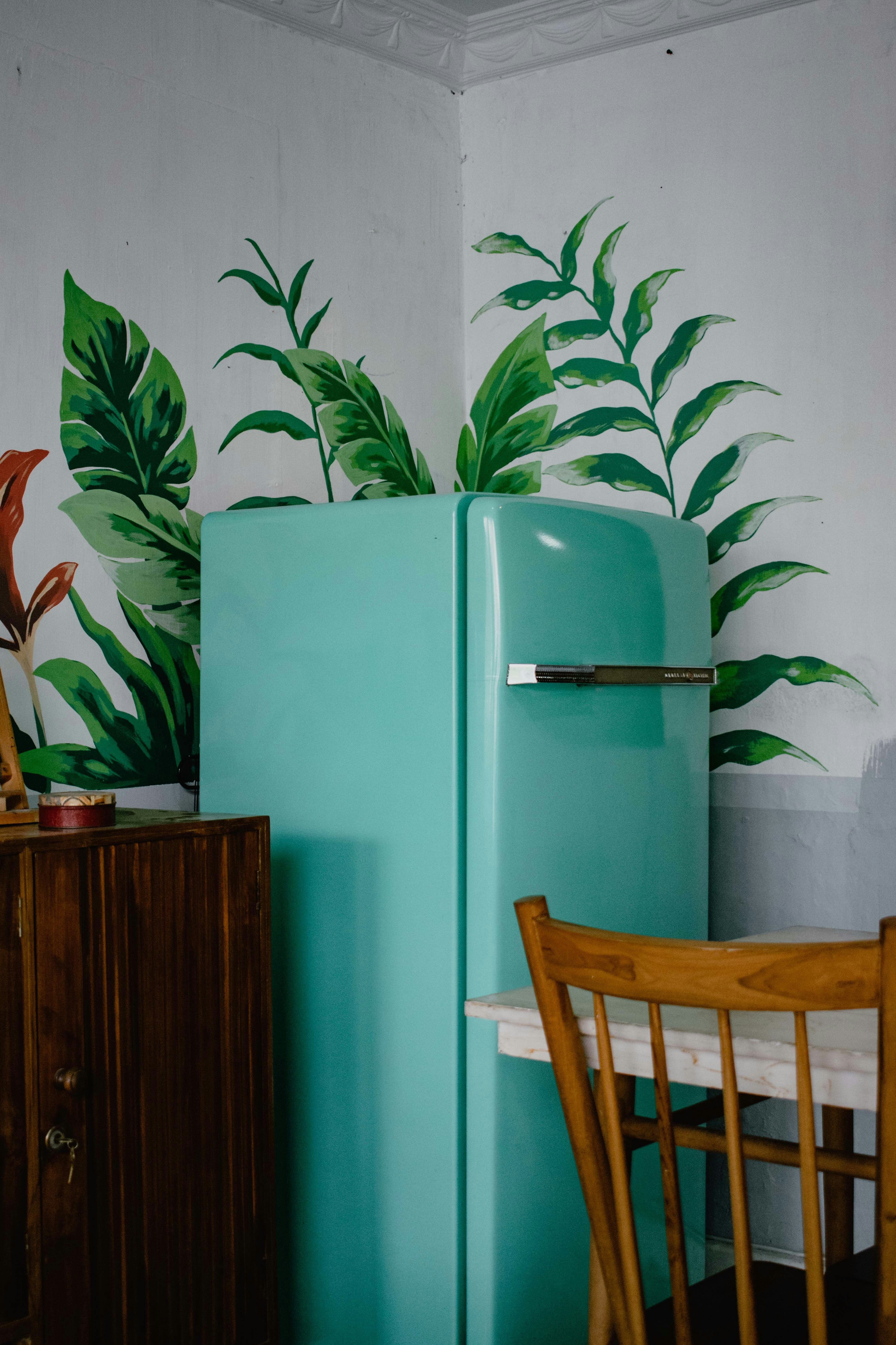 The Perfect Blend: Full Size Retro Fridges With Modern Features | Fridge.com