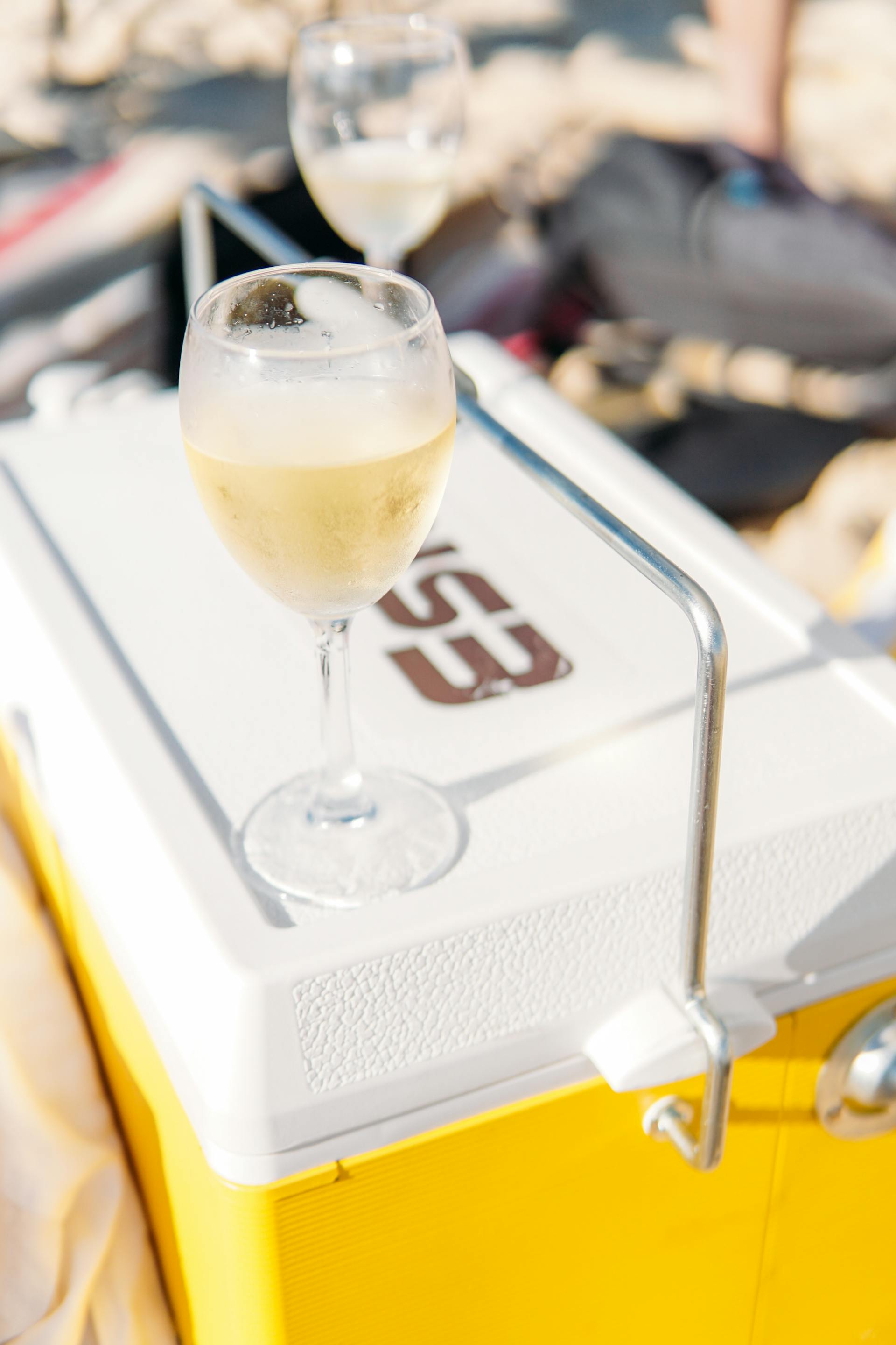 What Is The Size Of A Wine Cooler? | Fridge.com