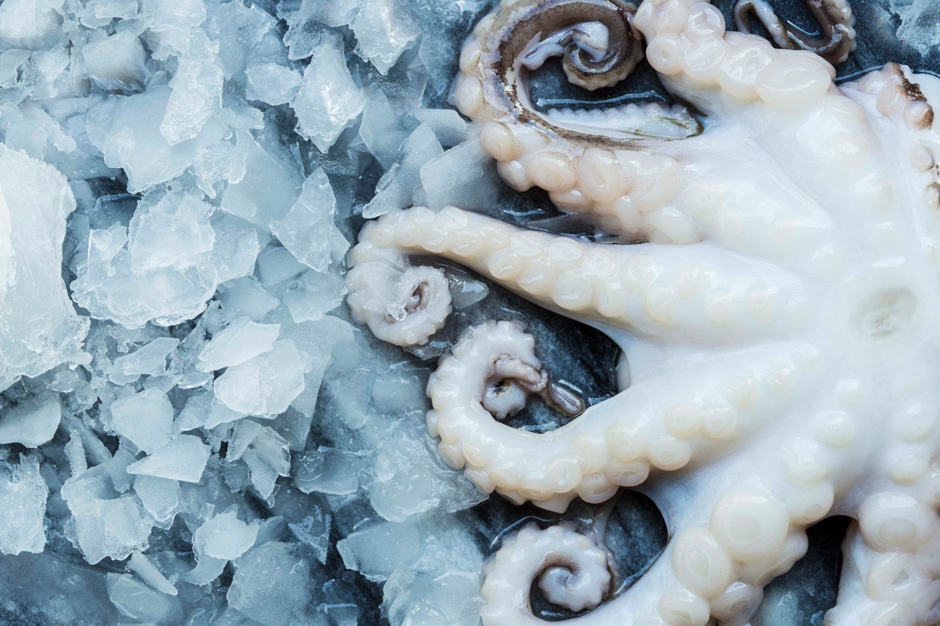 What Should A Deep Freezer Be Set On? | Fridge.com