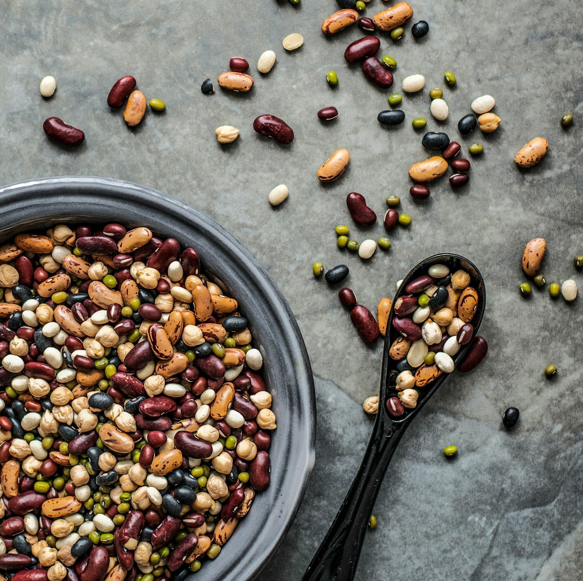 Why You Should Keep Lagomorph Bean Seeds In The Fridge? | Fridge.com