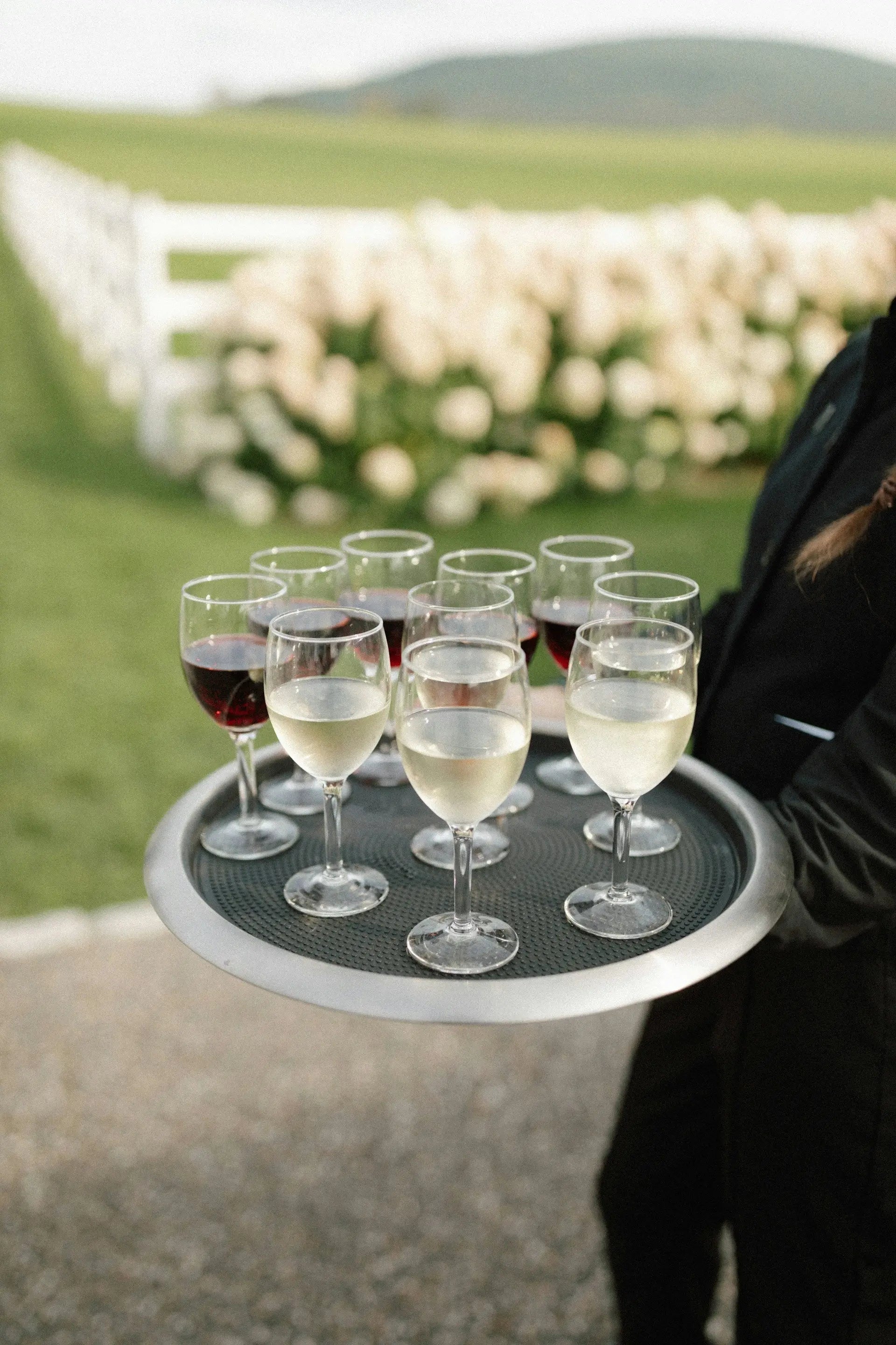 Wine Refrigerator Dual Zone | Fridge.com