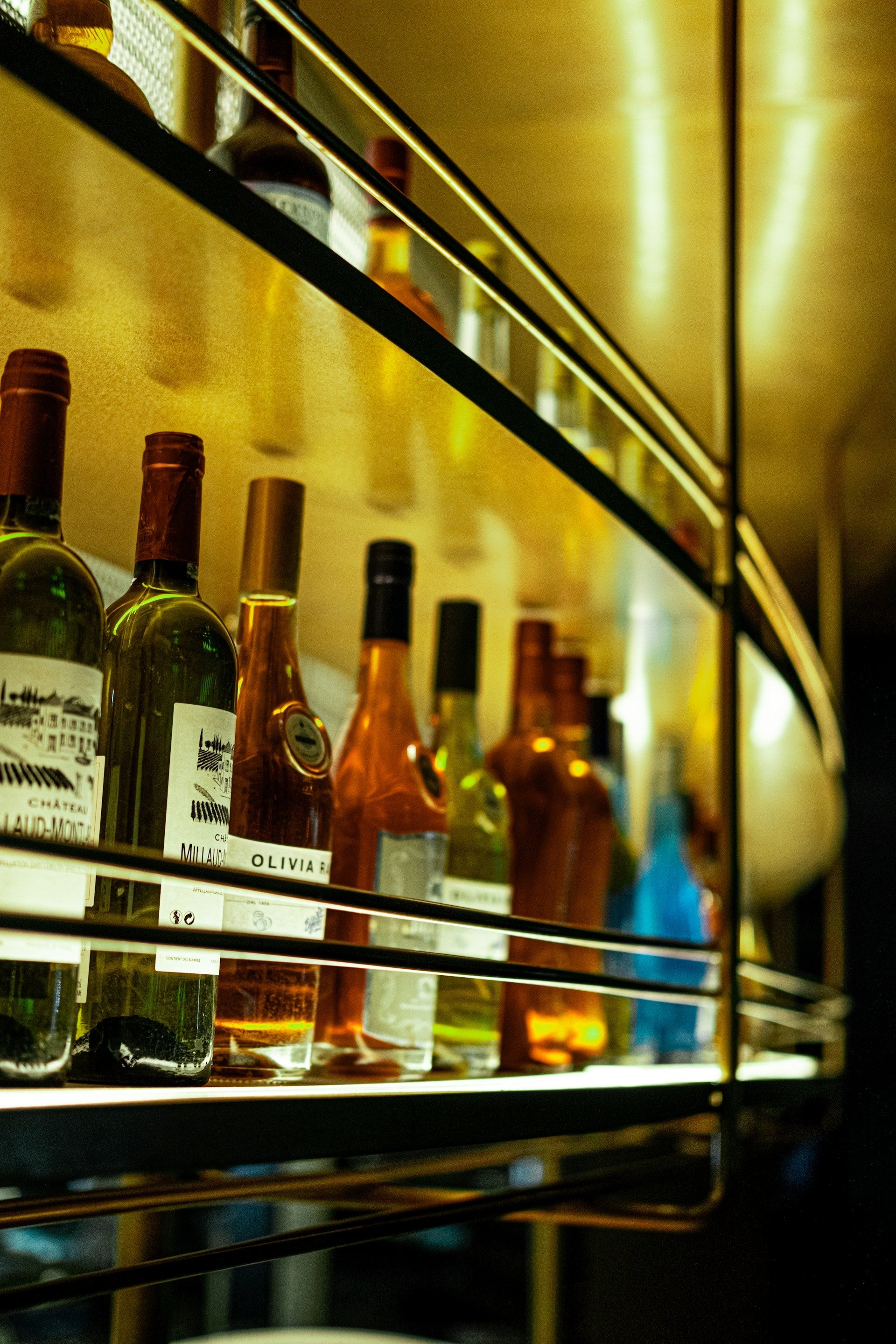 Wine Refrigerators: Stylish And Efficient | Fridge.com