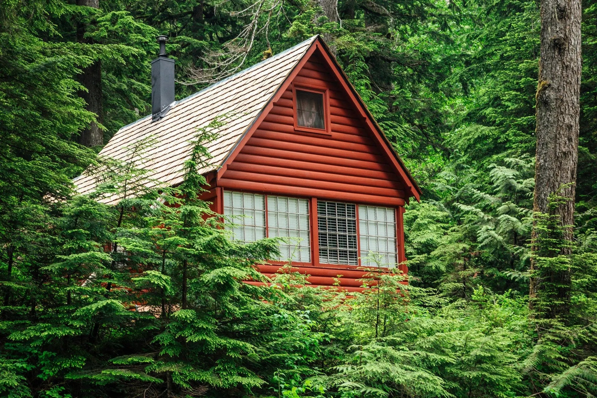 Best-Compact-Fridge-For-A-Forest-House | Fridge.com