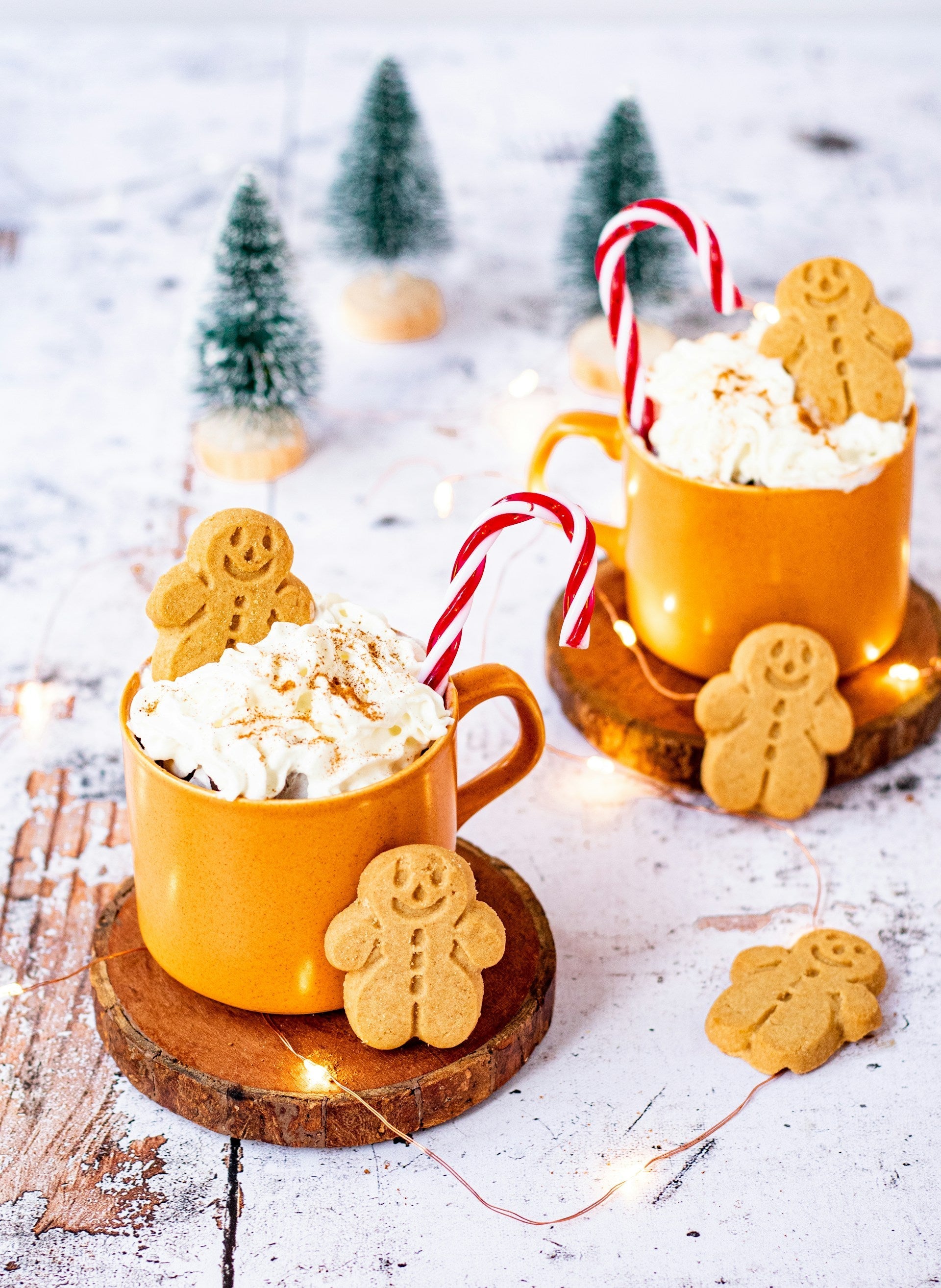 Best Counter Depth Refrigerator For Christmas