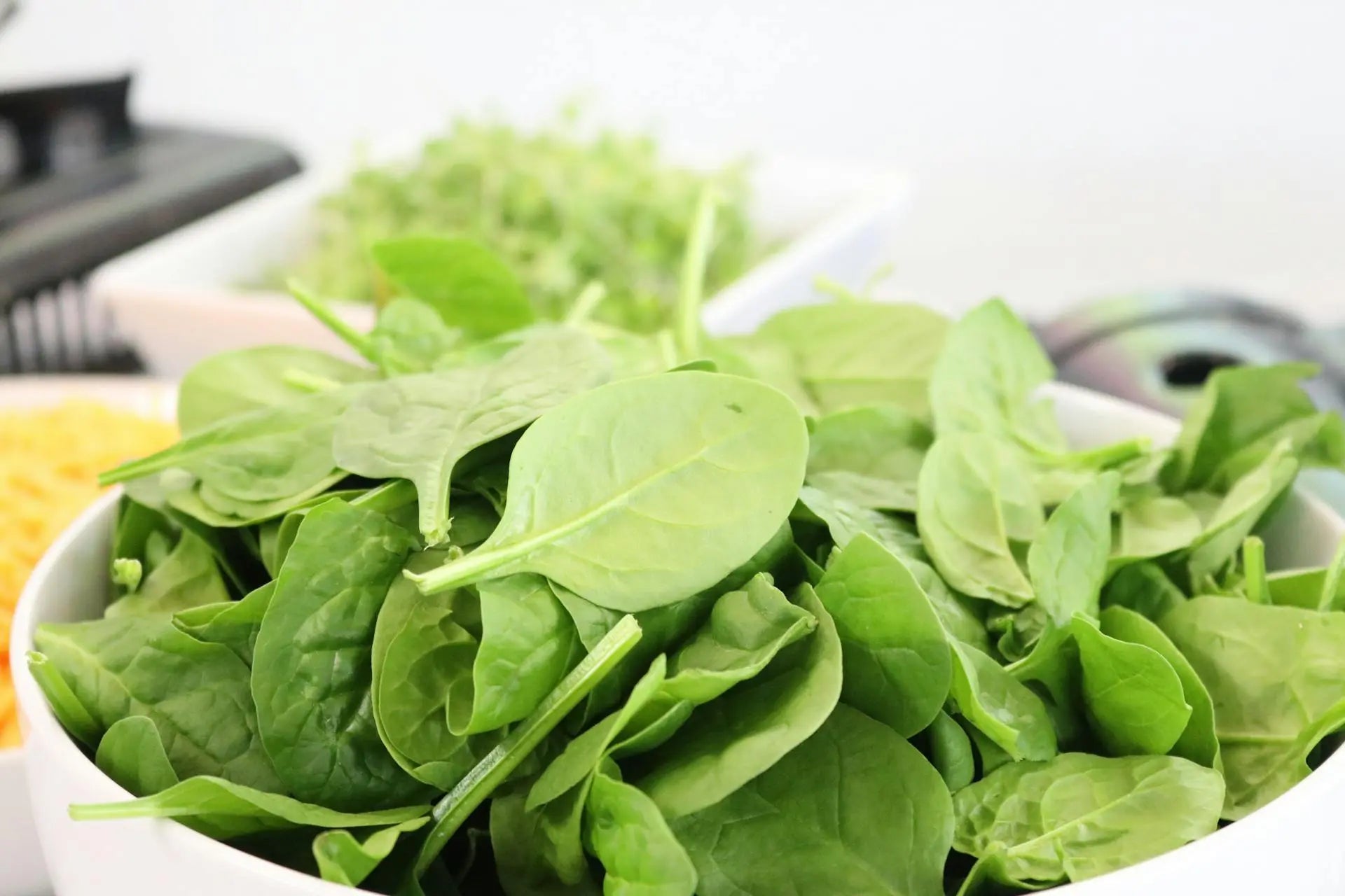 Best-Fridge-For-Fresh-Spinach-Day | Fridge.com