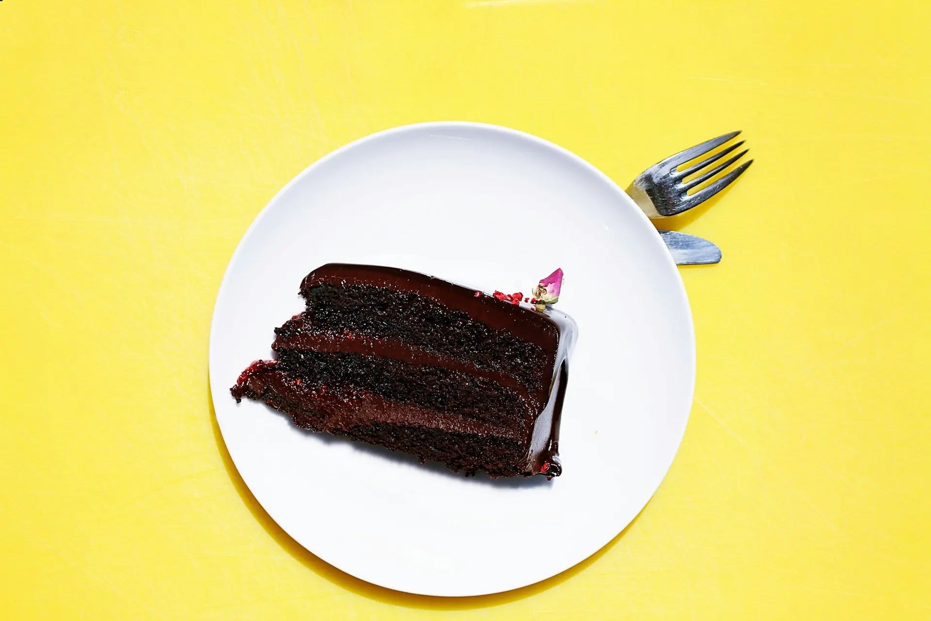 Best Fridge For Sacher-torte Day | Fridge.com